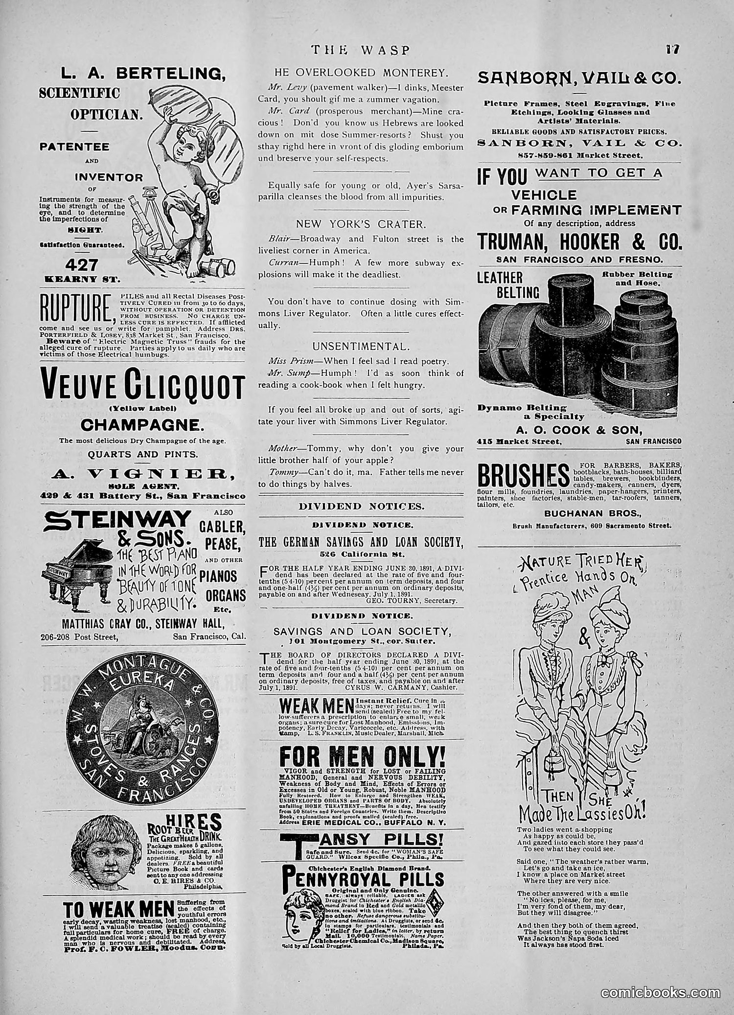 The Wasp — 1891 — page 104 of 546