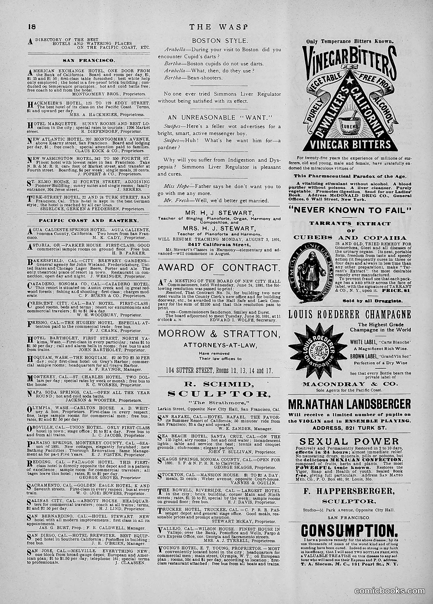 The Wasp — 1891 — page 105 of 546
