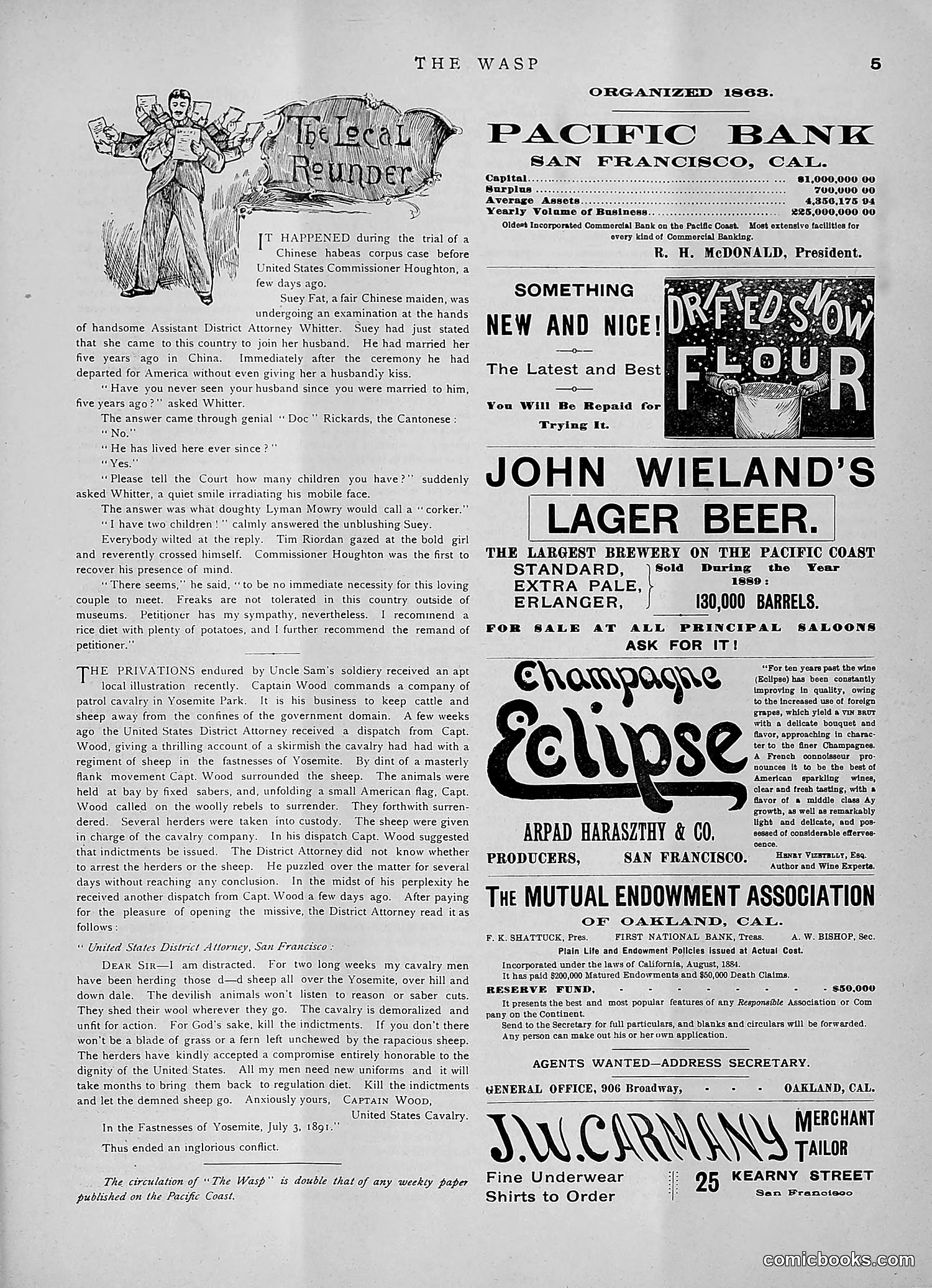 The Wasp — 1891 — page 112 of 546
