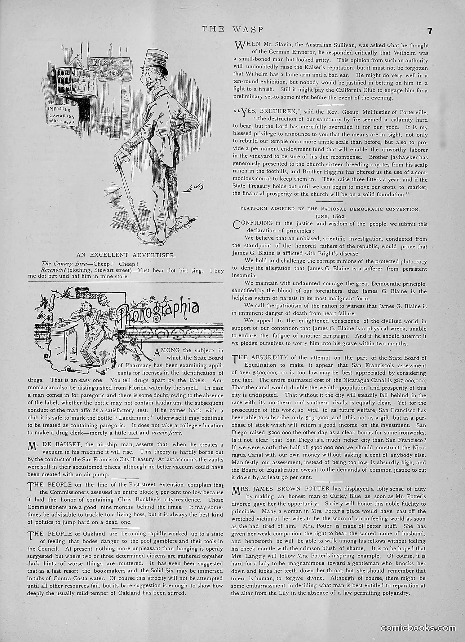 The Wasp — 1891 — page 114 of 546