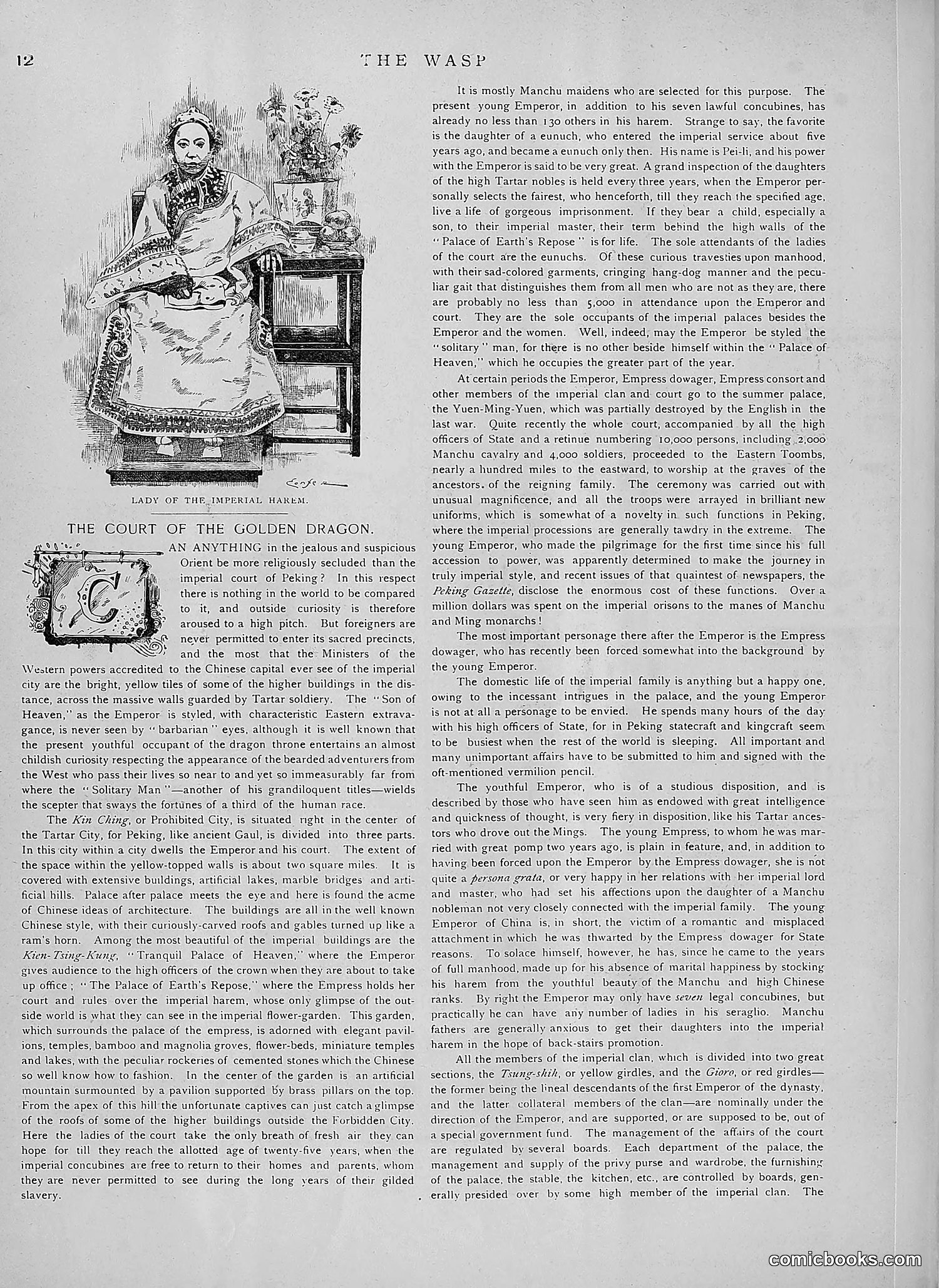 The Wasp — 1891 — page 119 of 546