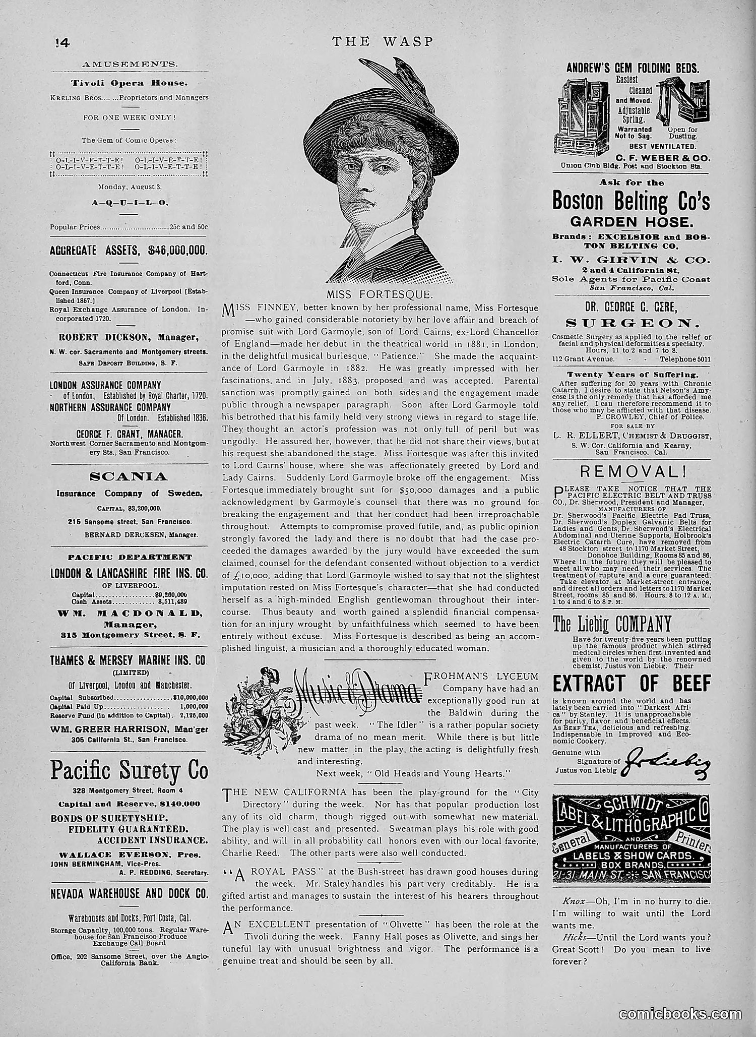 The Wasp — 1891 — page 121 of 546