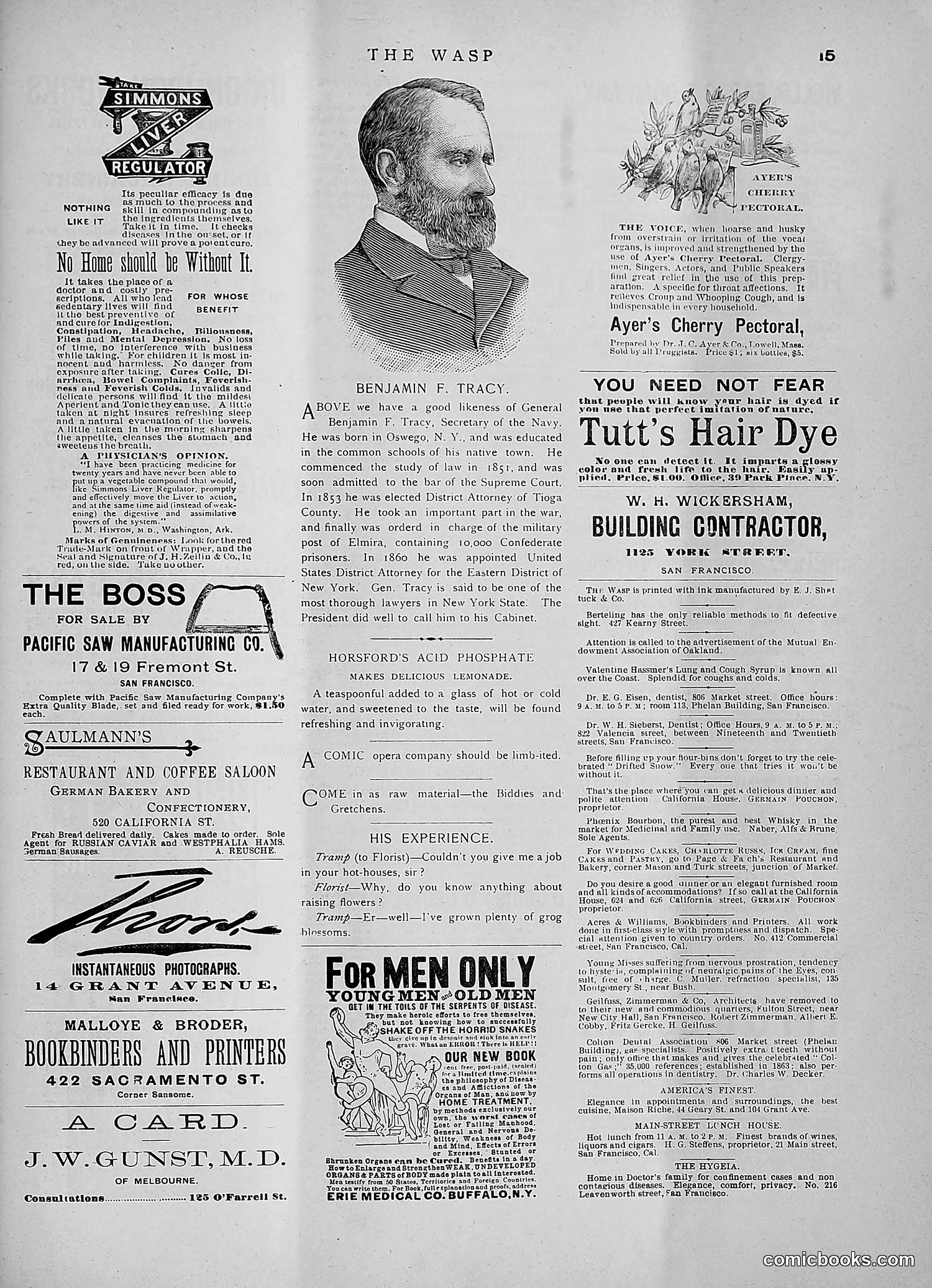 The Wasp — 1891 — page 122 of 546