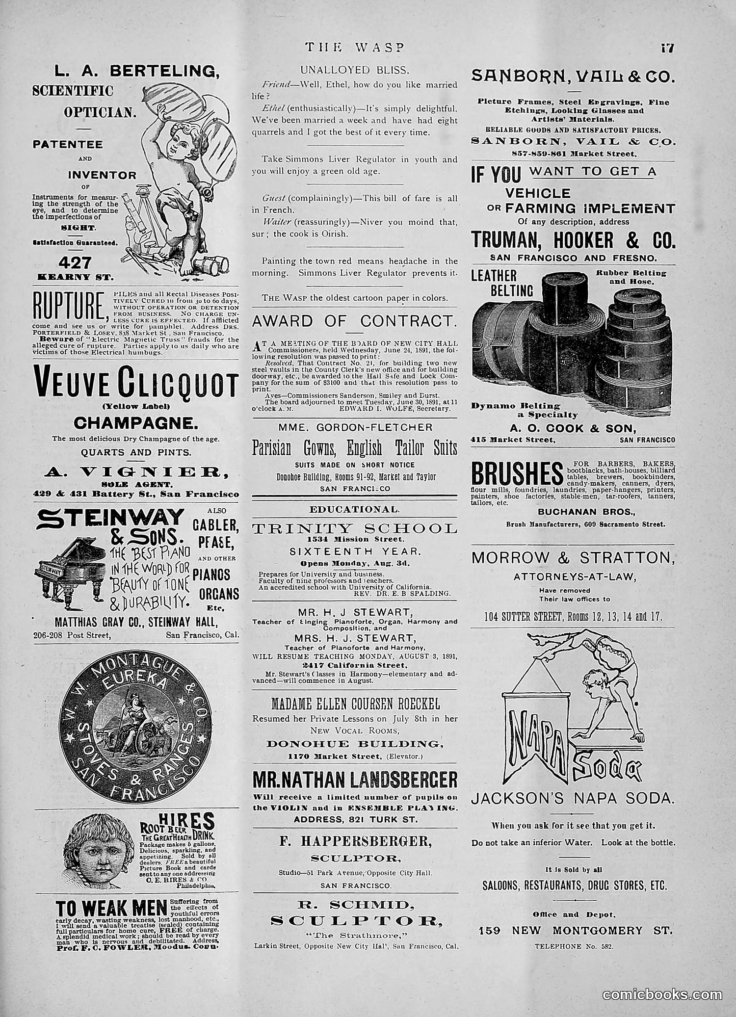 The Wasp — 1891 — page 124 of 546
