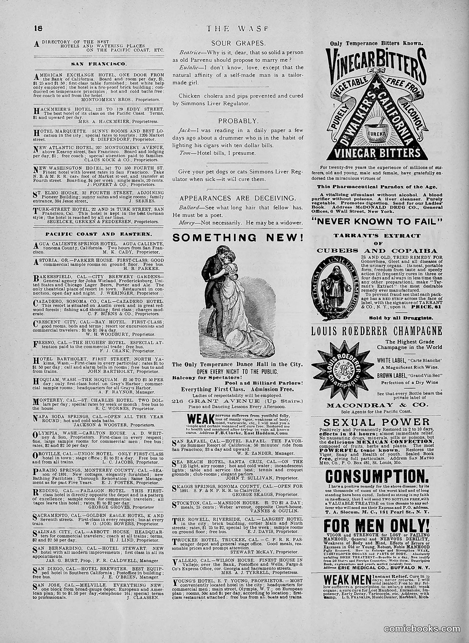 The Wasp — 1891 — page 125 of 546