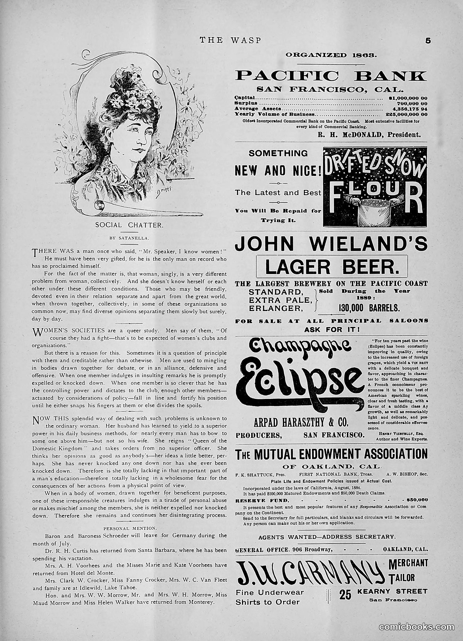 The Wasp — 1891 — page 132 of 546