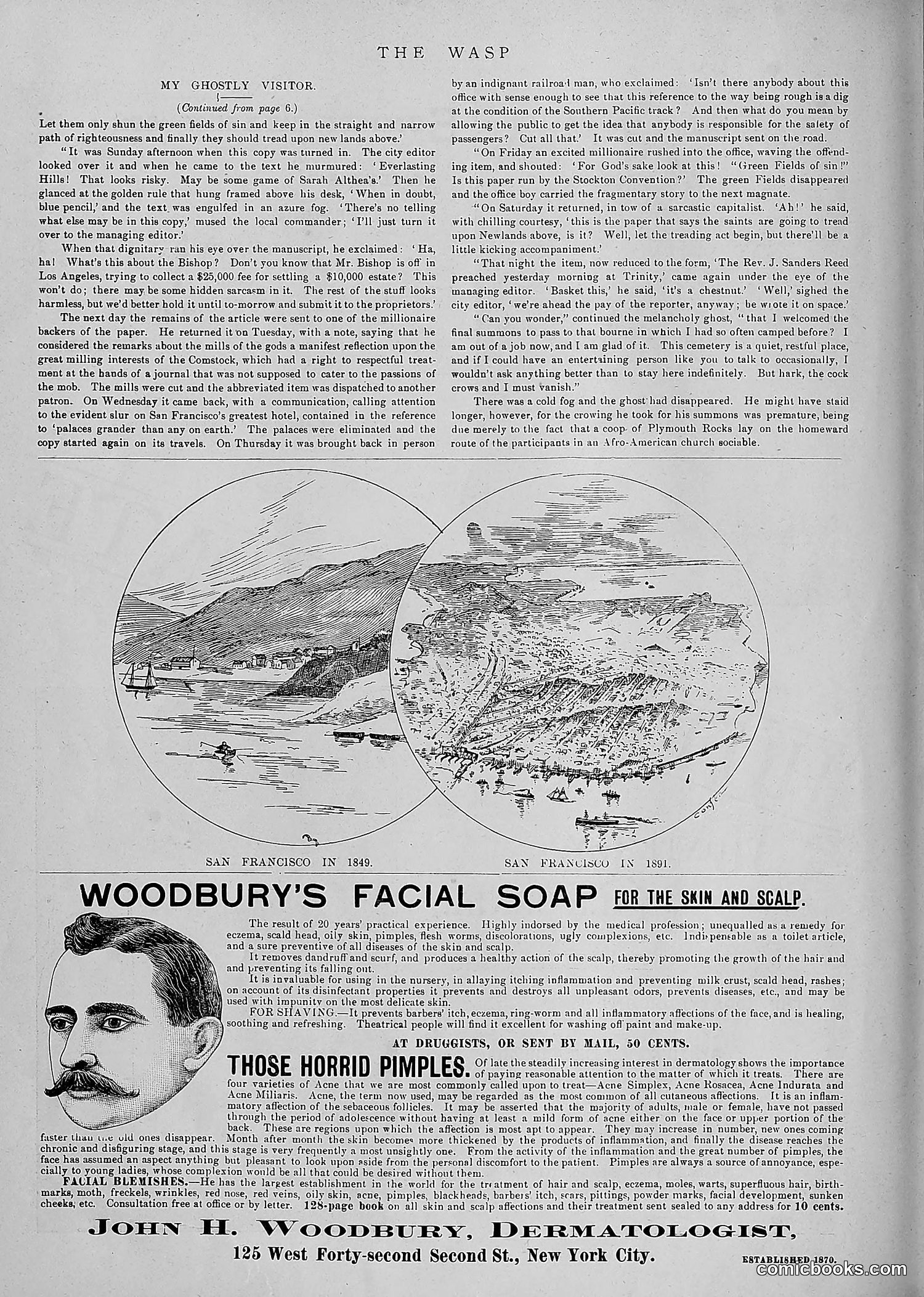 The Wasp — 1891 — page 15 of 546