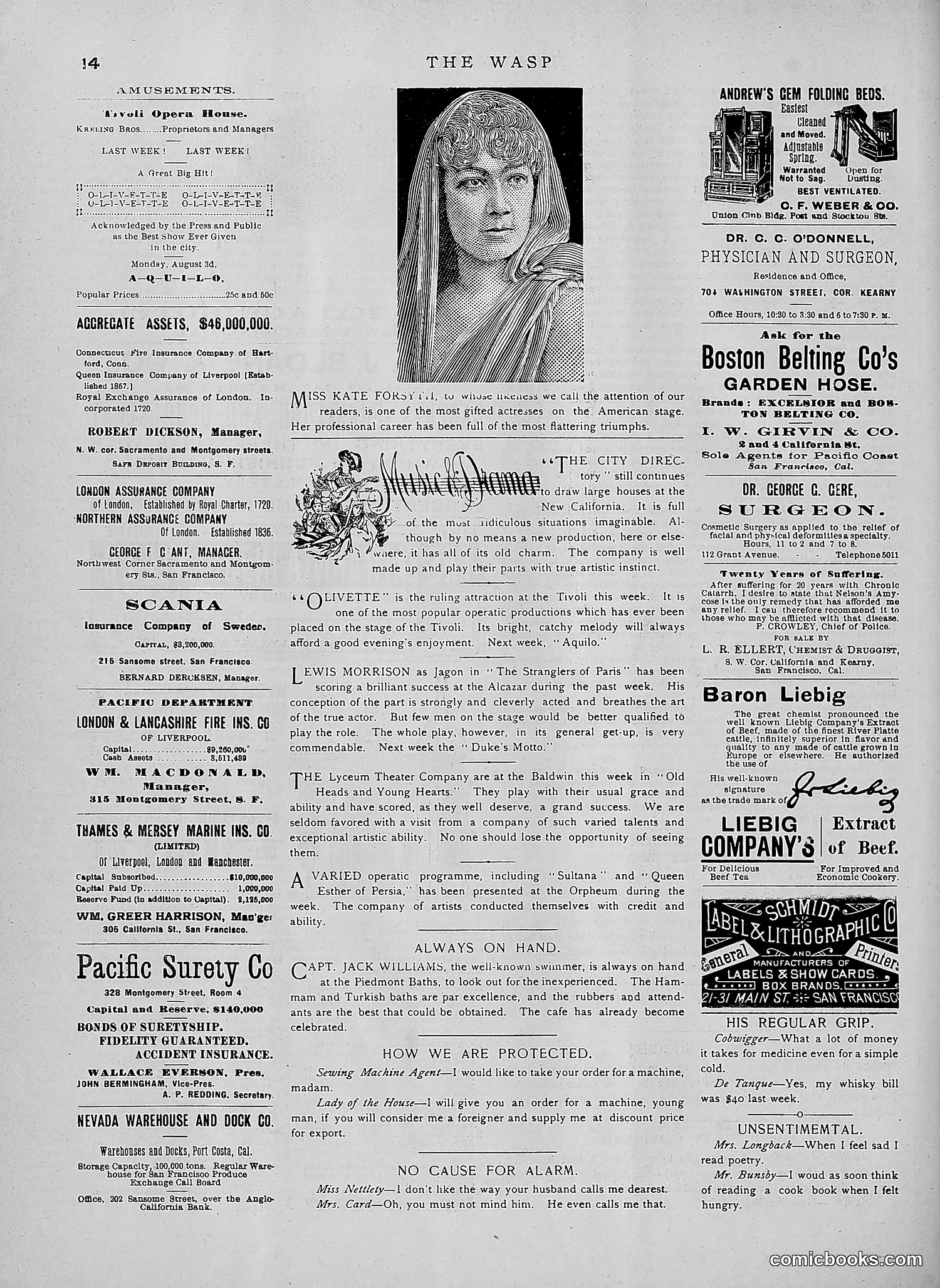 The Wasp — 1891 — page 143 of 546