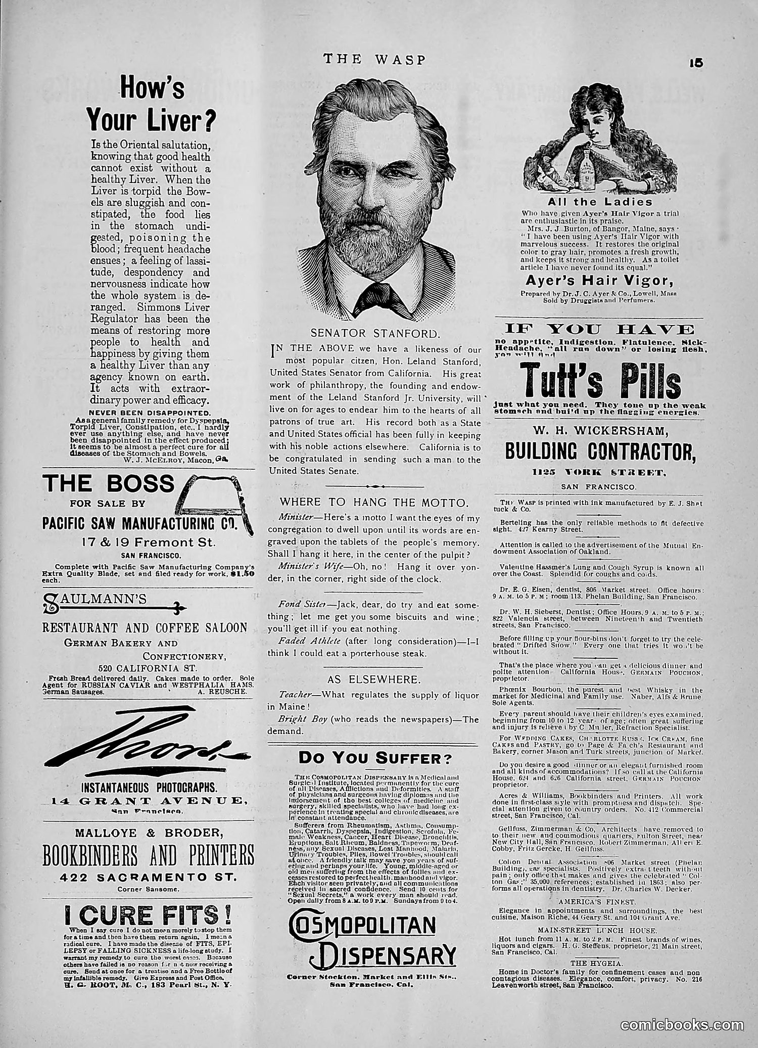 The Wasp — 1891 — page 144 of 546