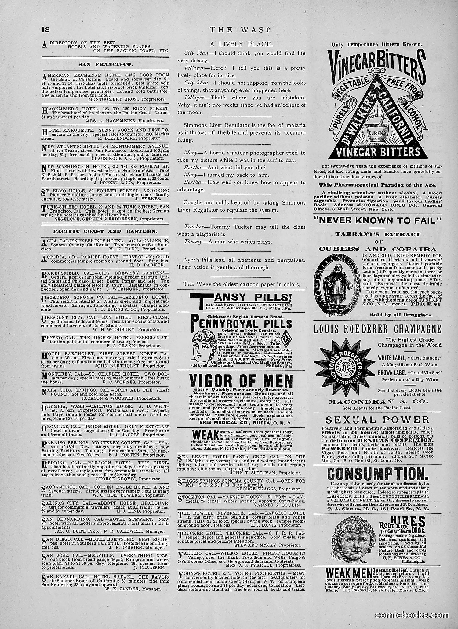 The Wasp — 1891 — page 147 of 546