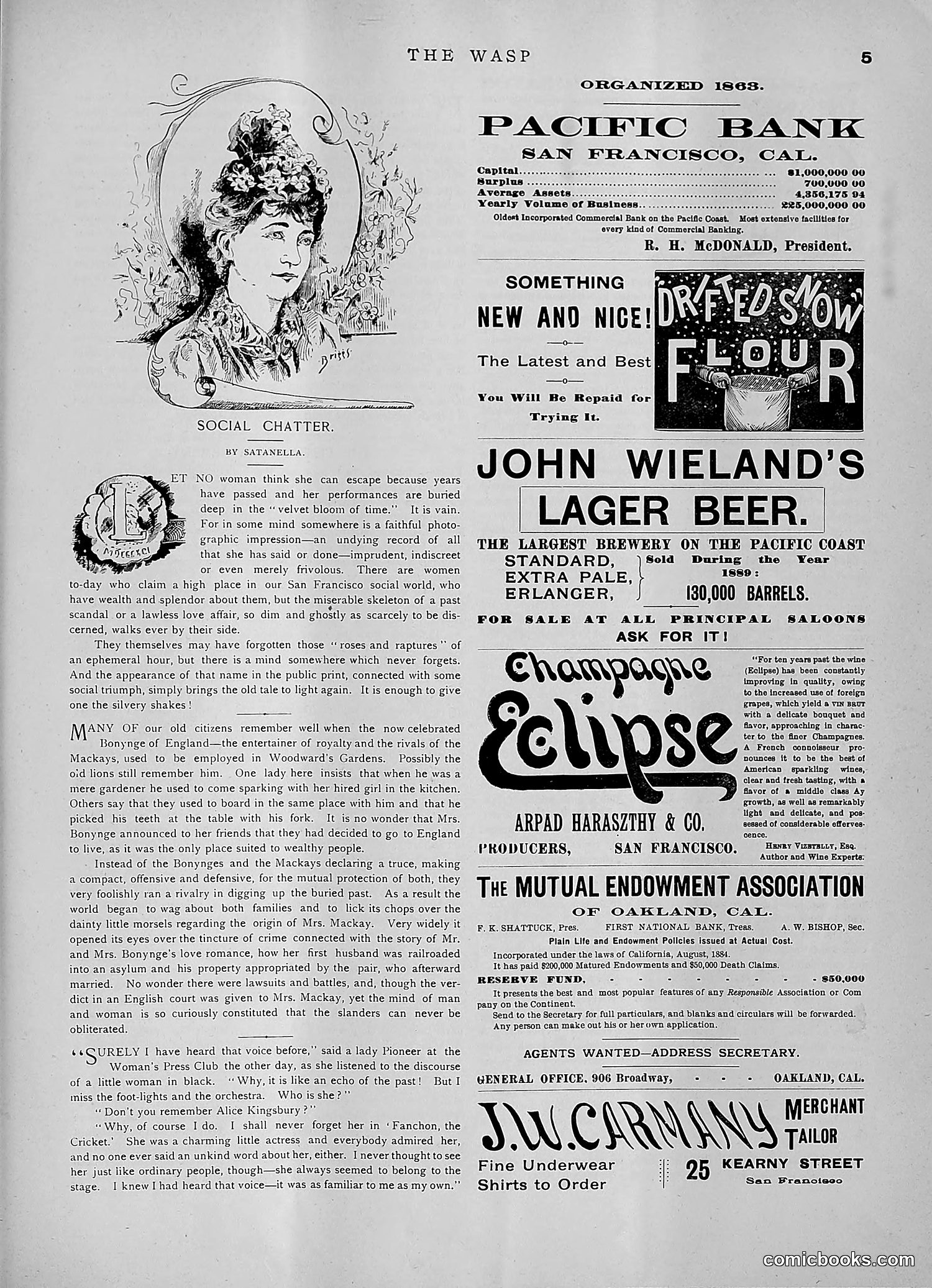 The Wasp — 1891 — page 154 of 546