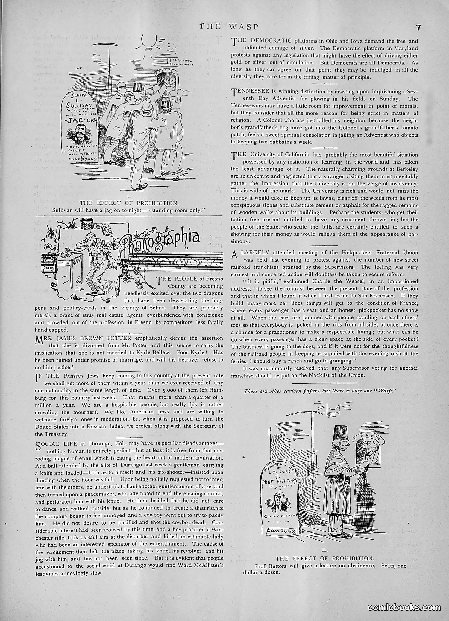 The Wasp — 1891 — page 156 of 546