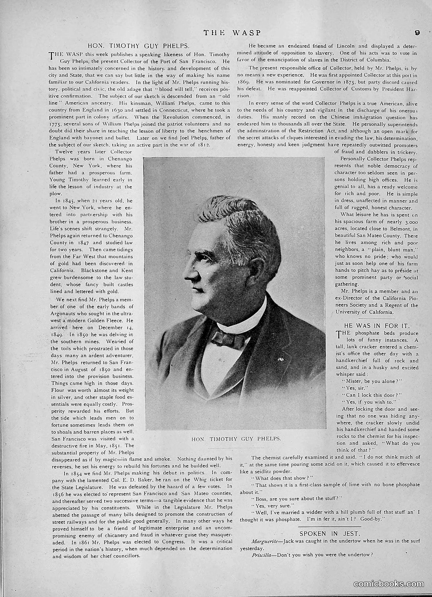 The Wasp — 1891 — page 158 of 546
