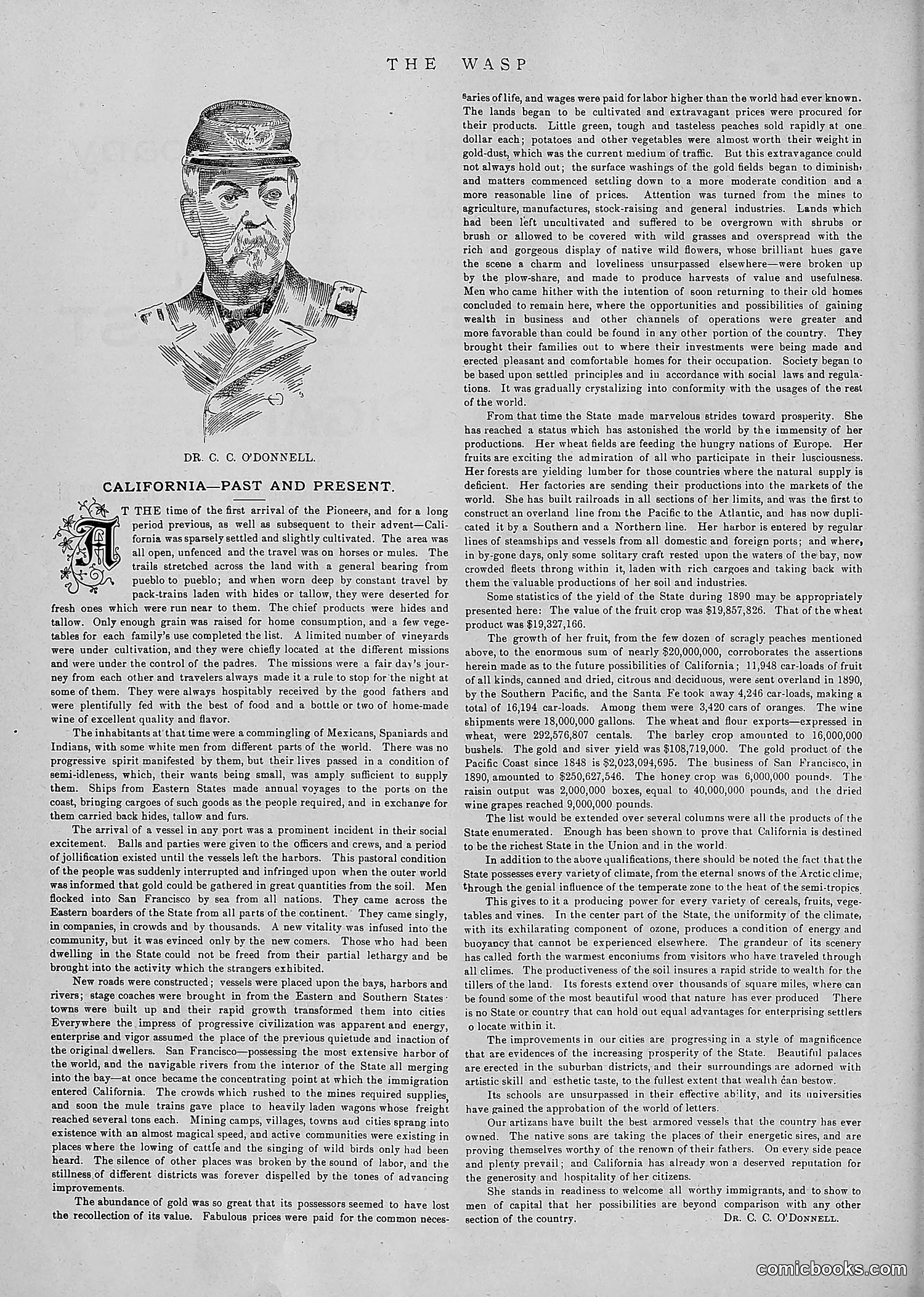 The Wasp — 1891 — page 17 of 546