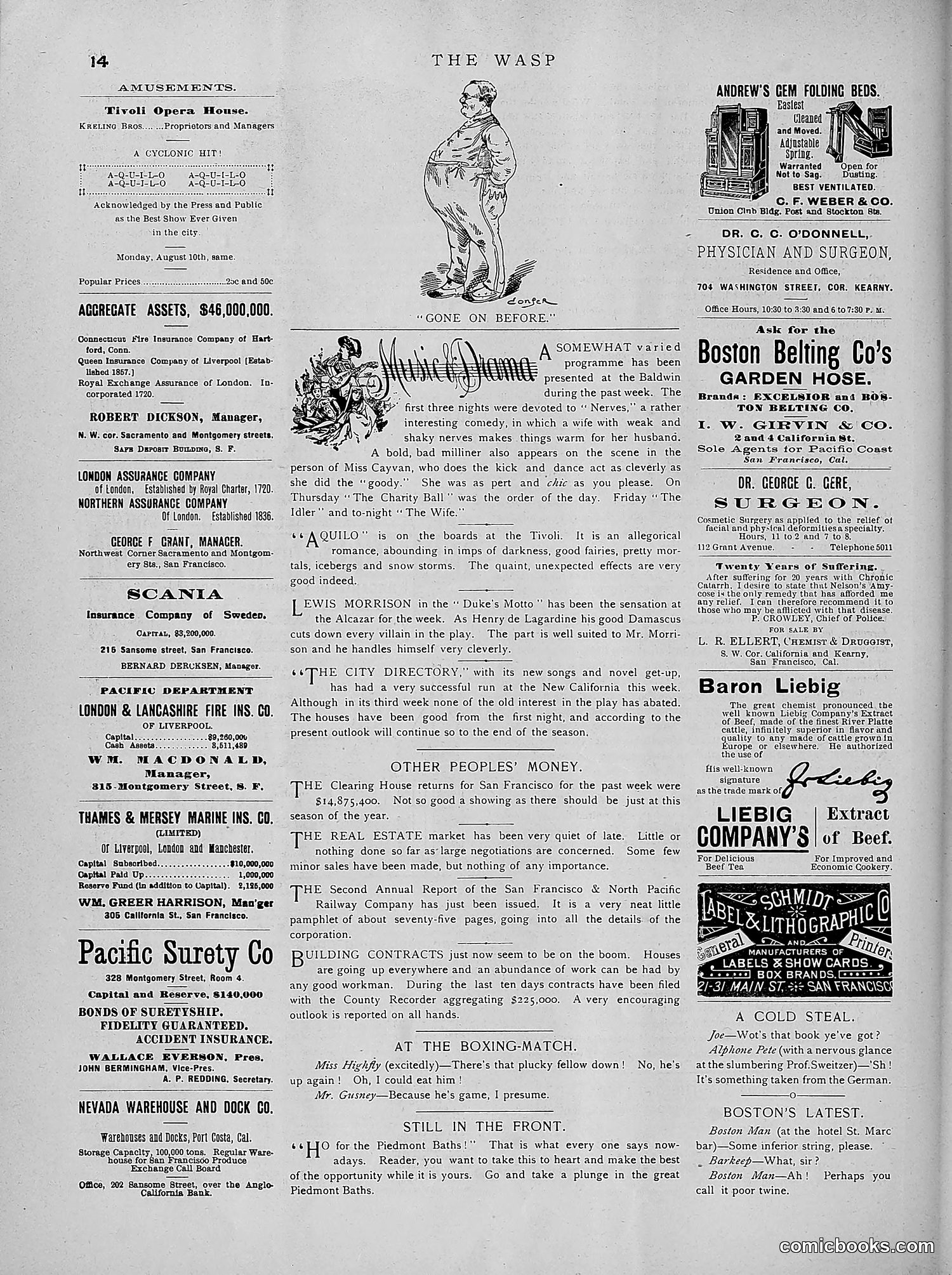 The Wasp — 1891 — page 163 of 546
