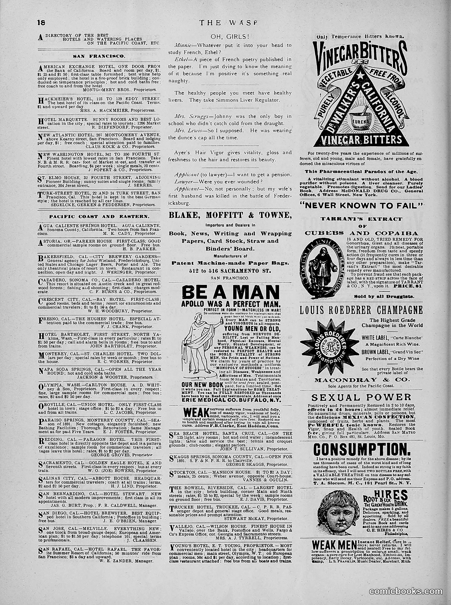 The Wasp — 1891 — page 167 of 546