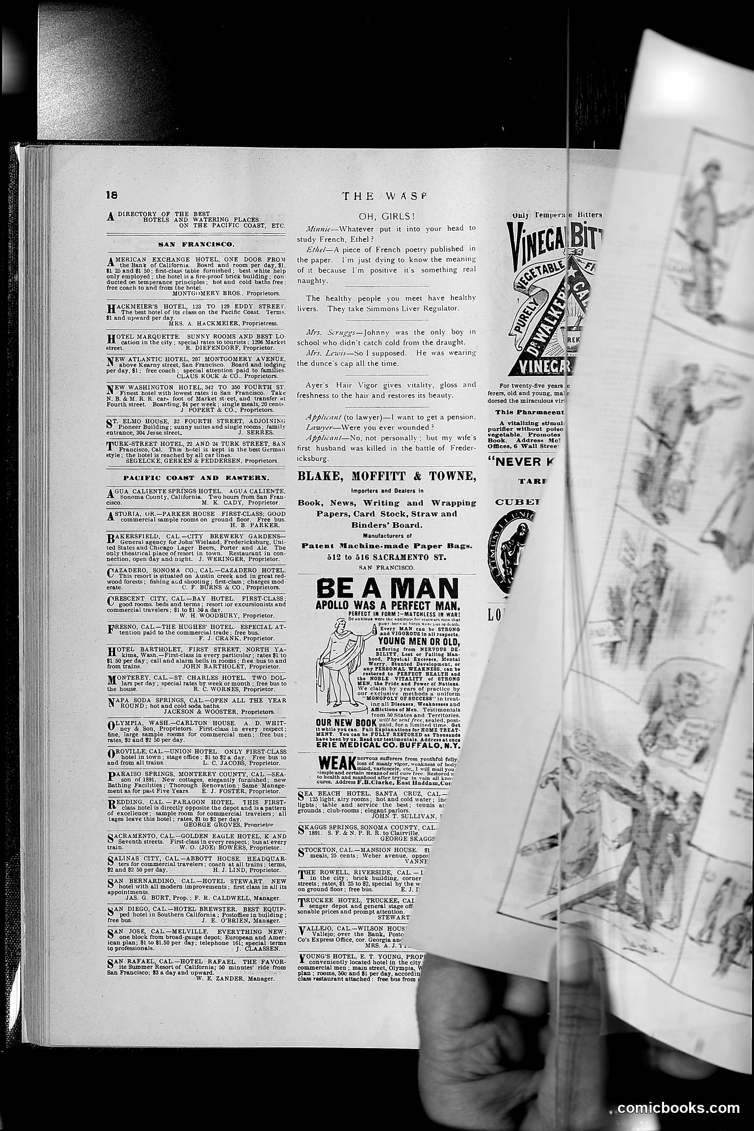 The Wasp — 1891 — page 169 of 546