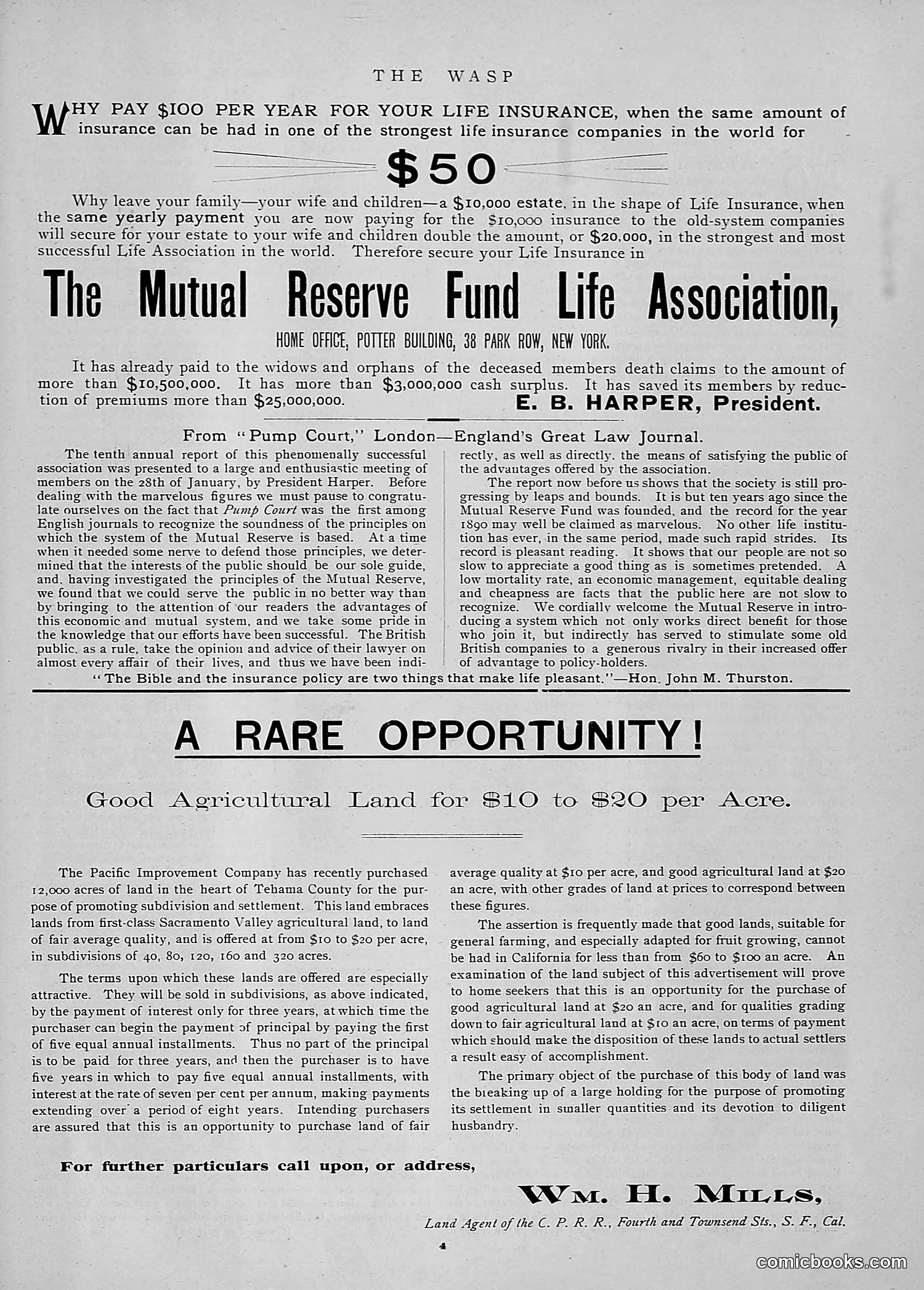The Wasp — 1891 — page 18 of 546