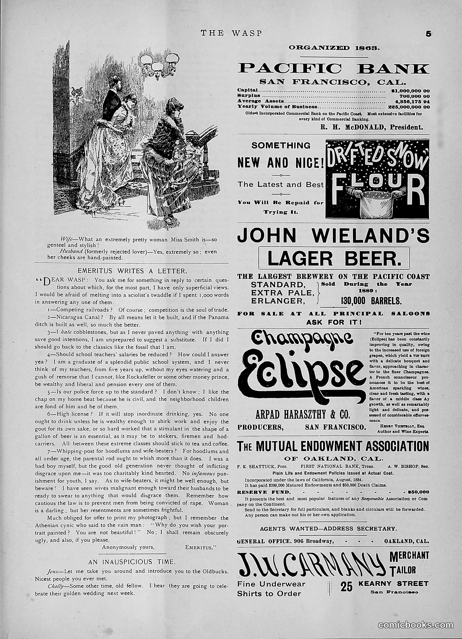 The Wasp — 1891 — page 176 of 546