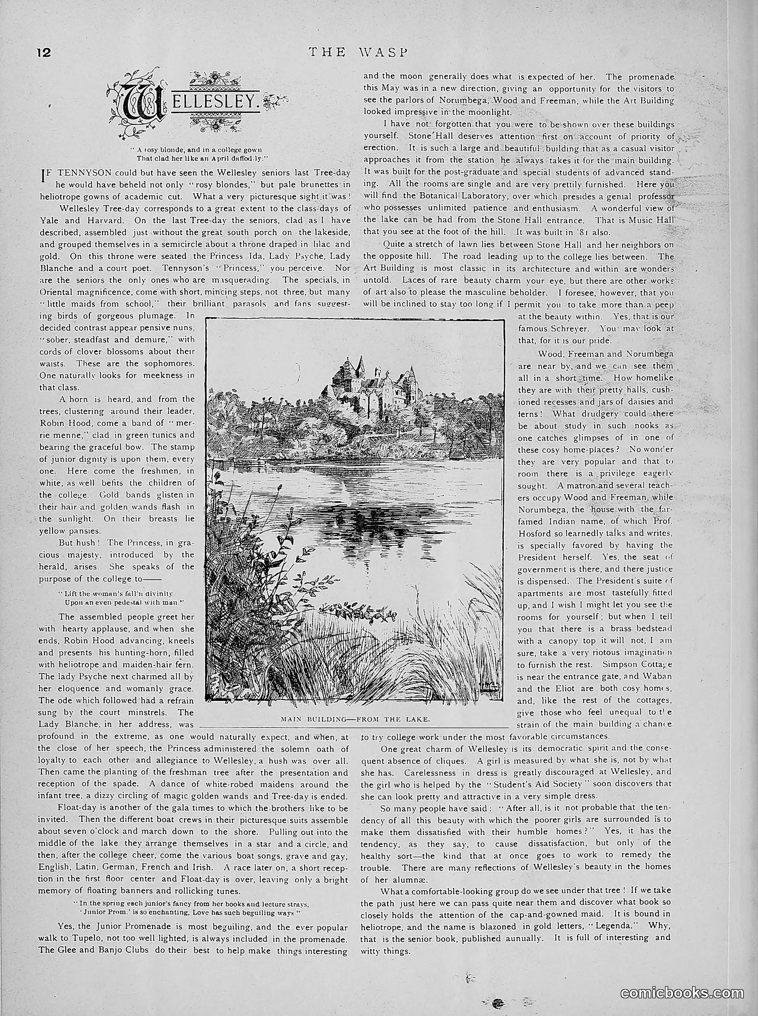 The Wasp — 1891 — page 183 of 546
