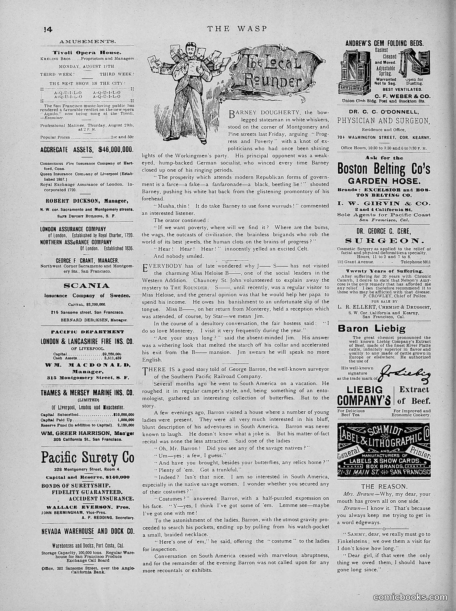The Wasp — 1891 — page 185 of 546