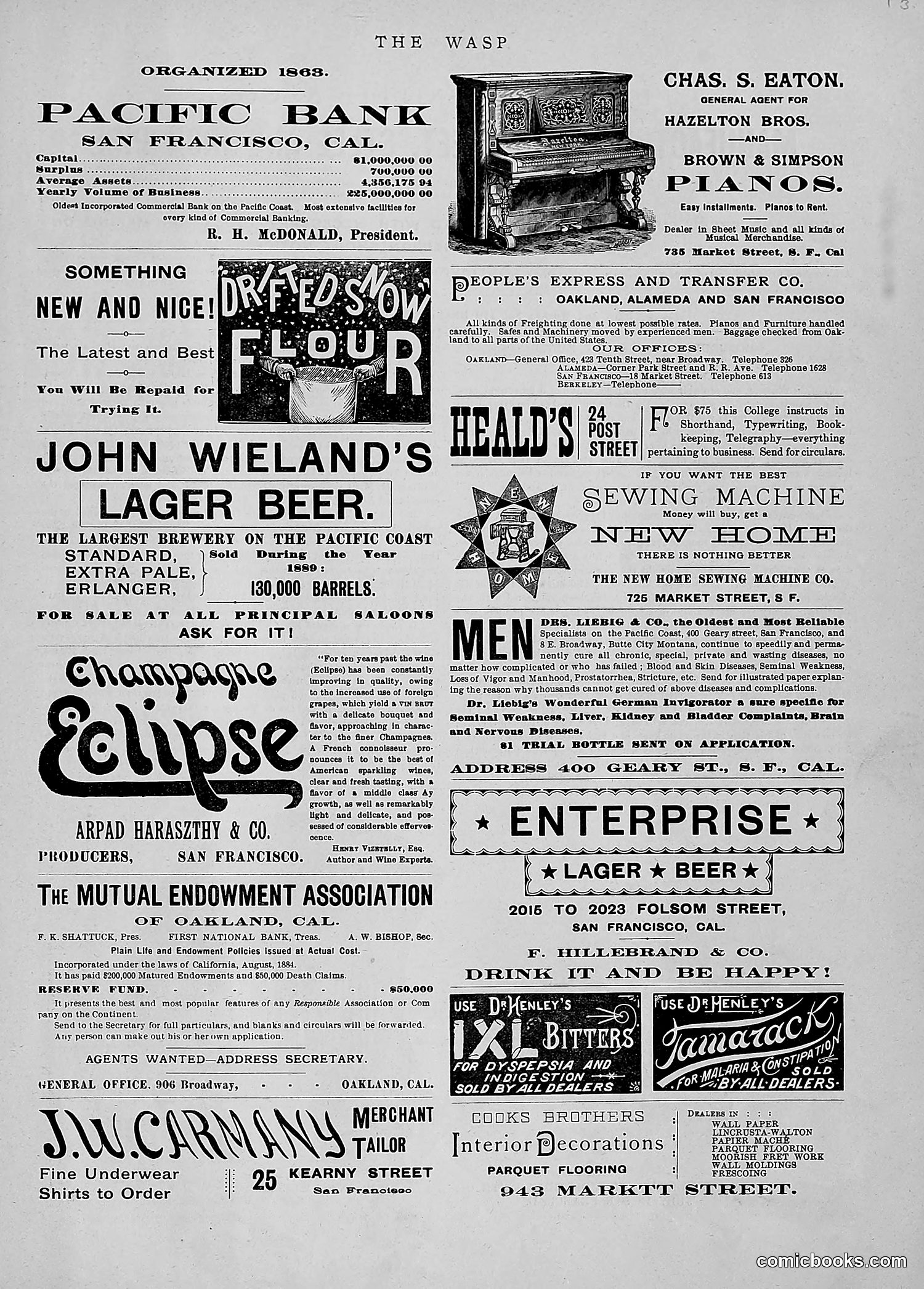 The Wasp — 1891 — page 20 of 546