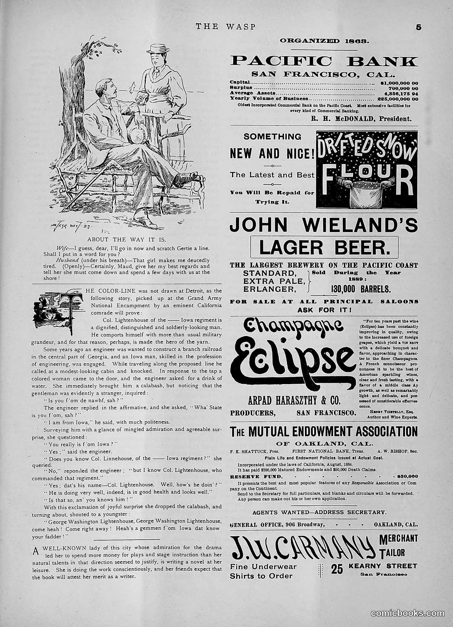The Wasp — 1891 — page 196 of 546