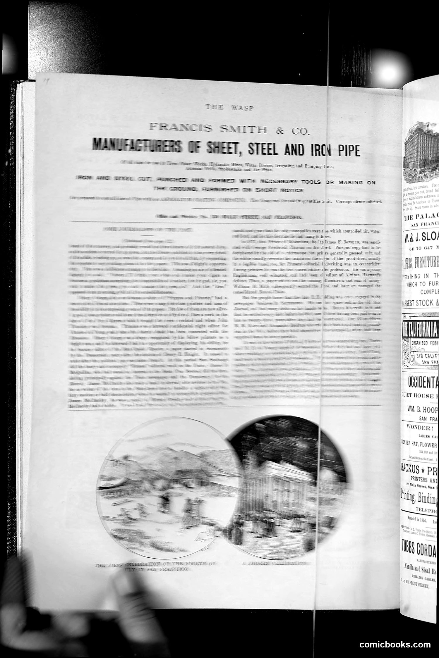 The Wasp — 1891 — page 21 of 546
