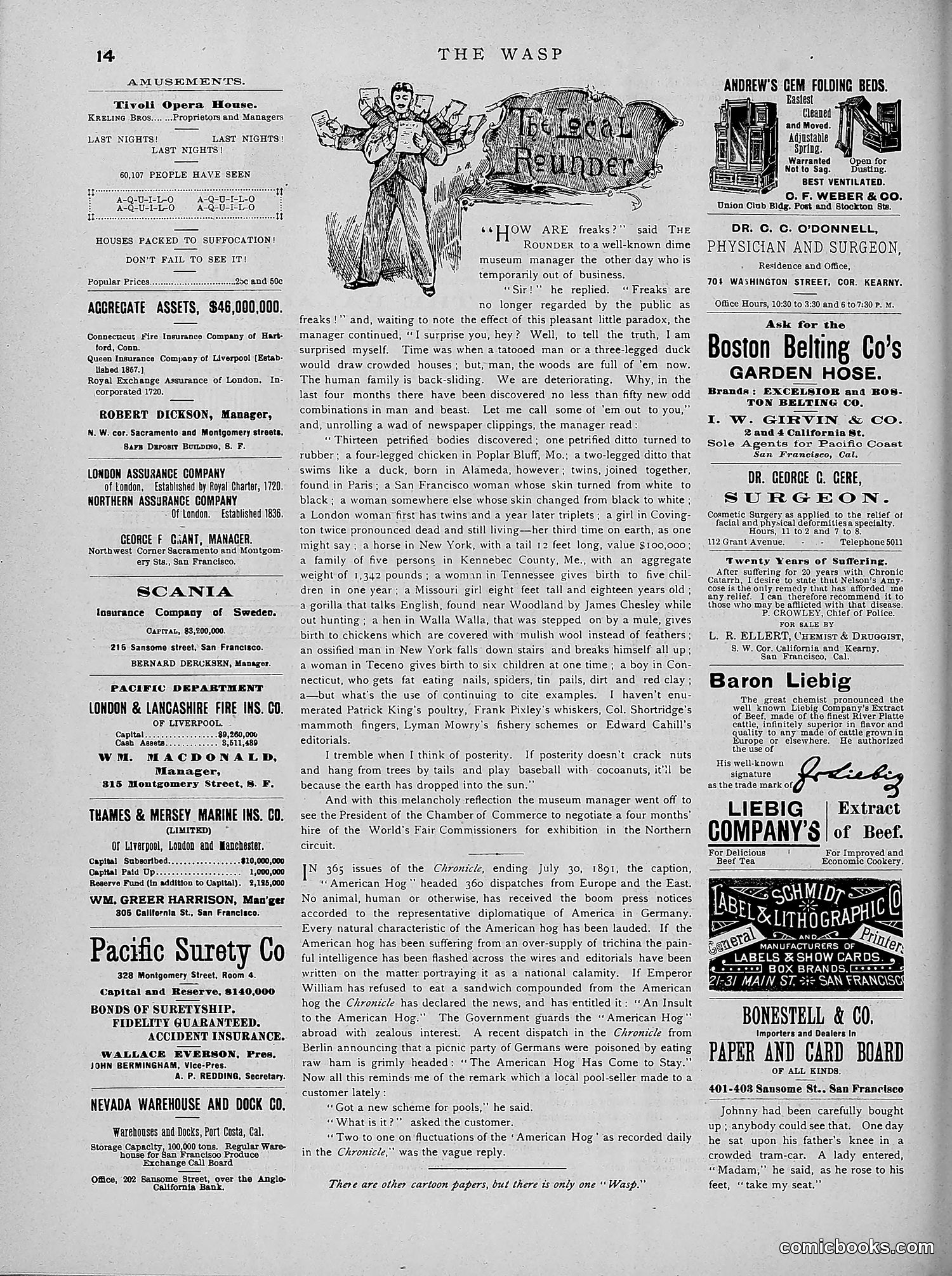 The Wasp — 1891 — page 205 of 546