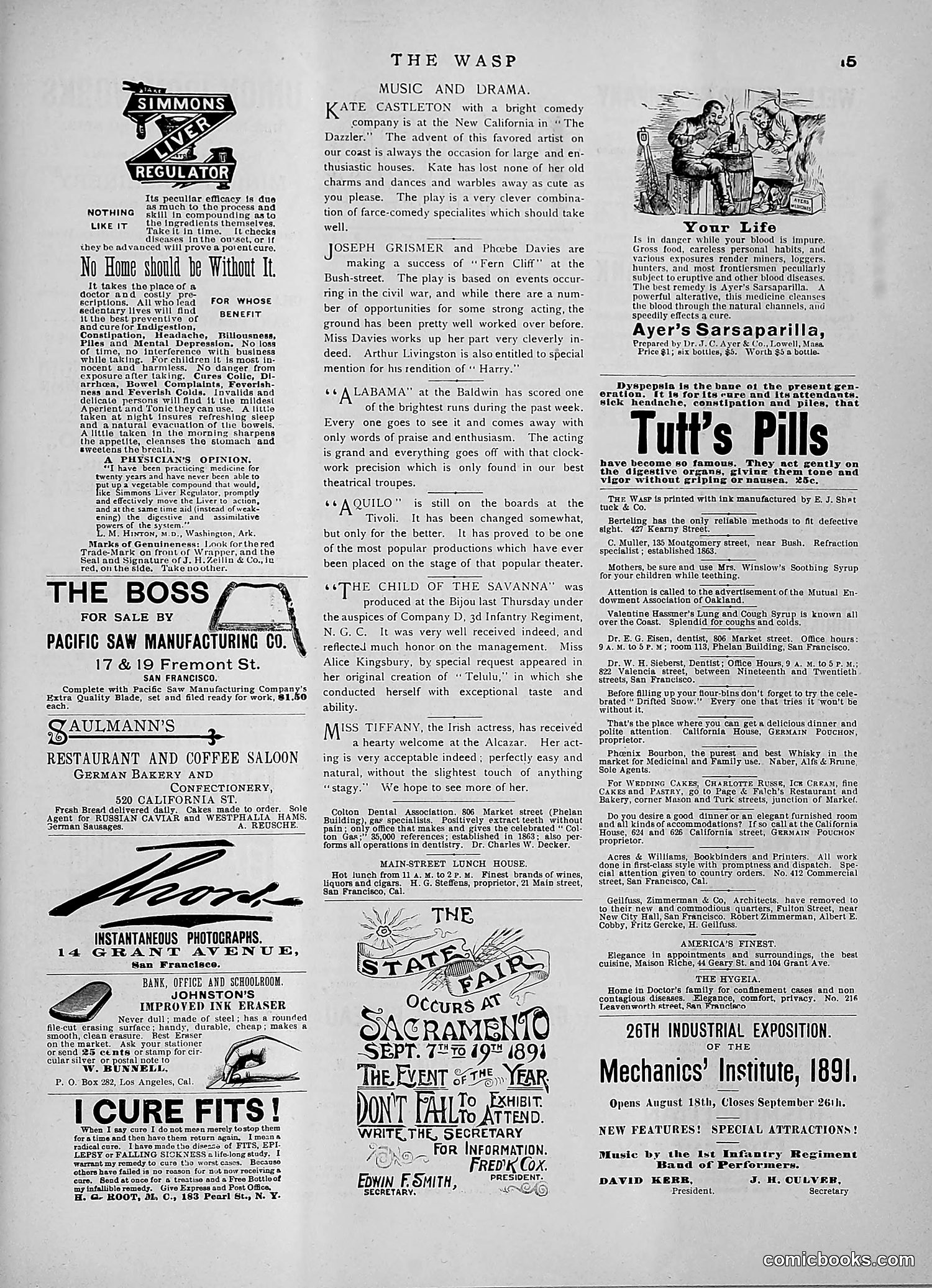 The Wasp — 1891 — page 206 of 546