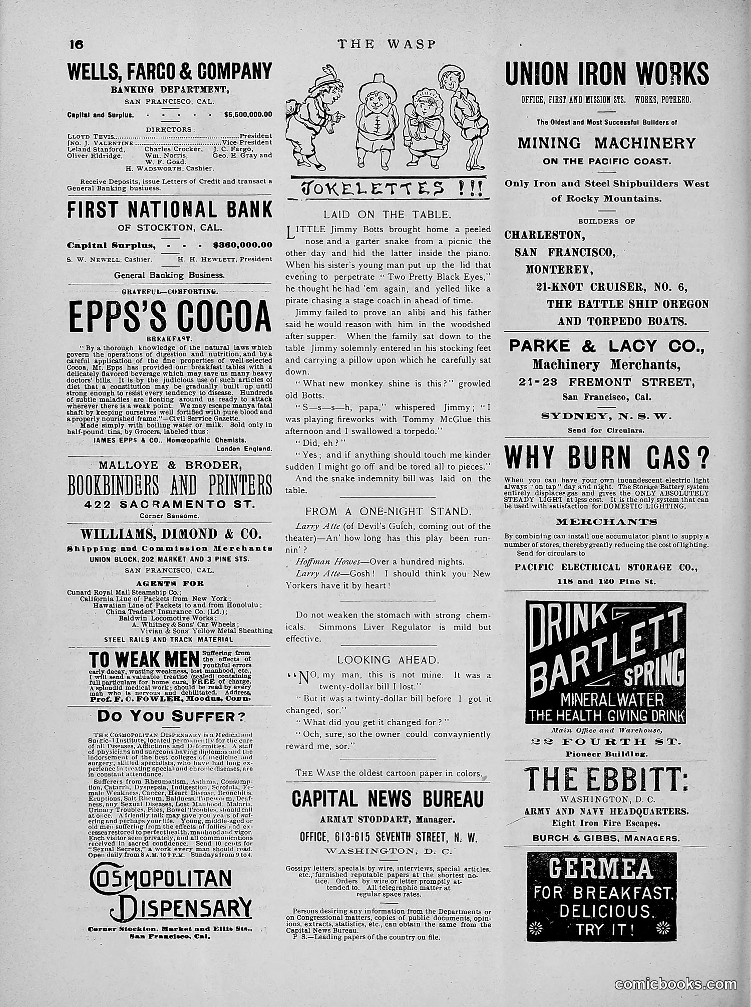 The Wasp — 1891 — page 207 of 546