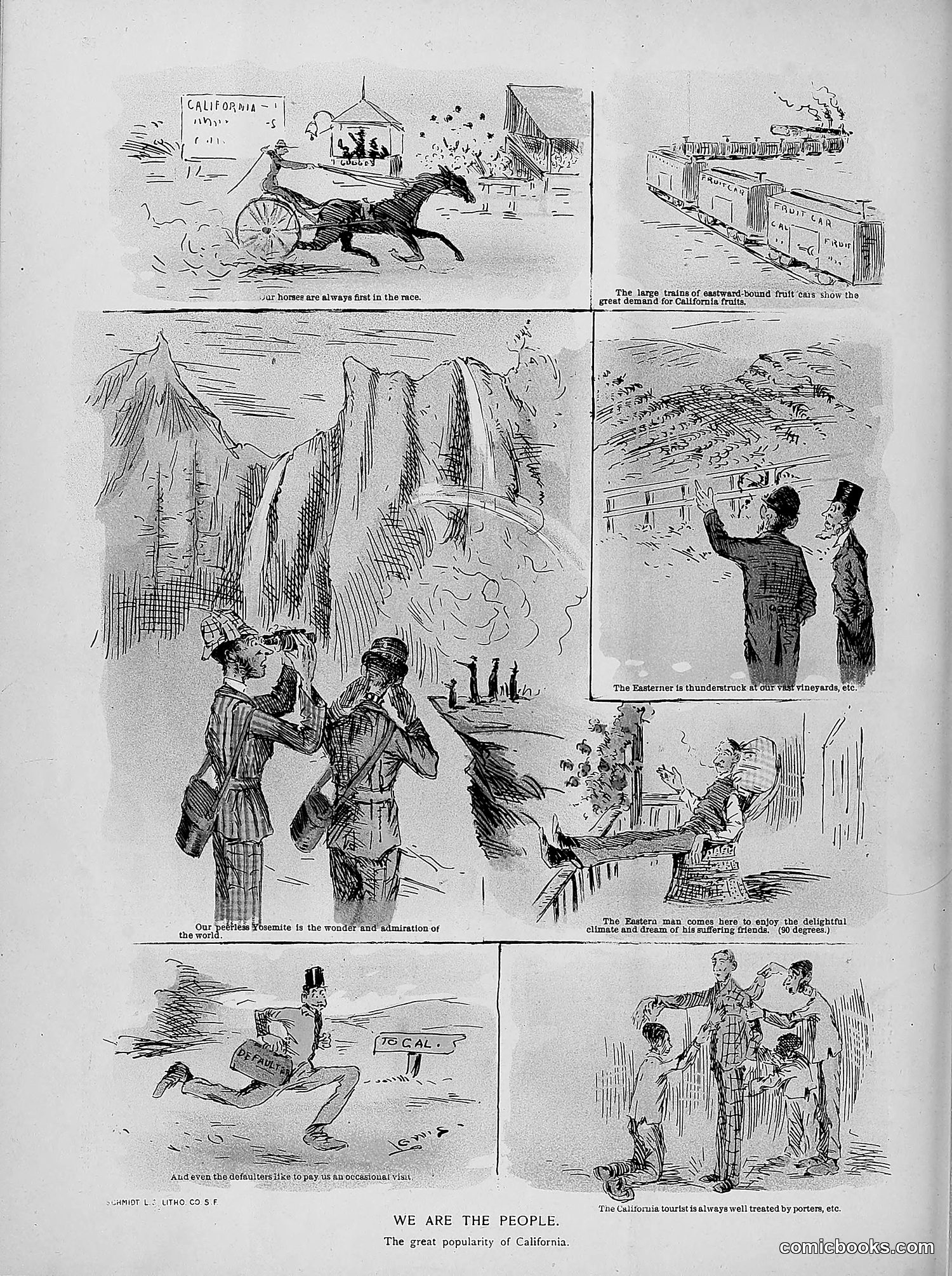 The Wasp — 1891 — page 211 of 546