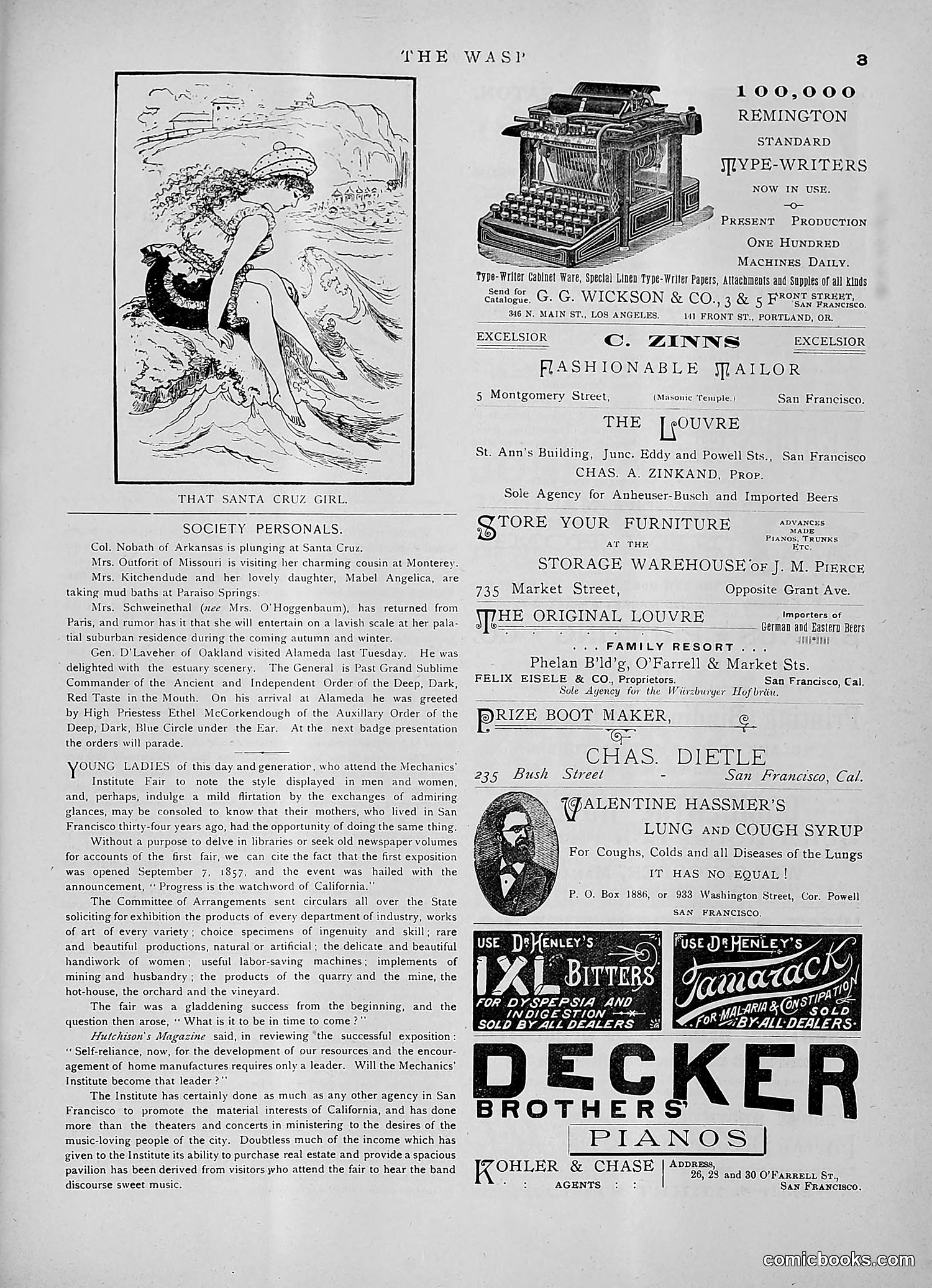 The Wasp — 1891 — page 214 of 546
