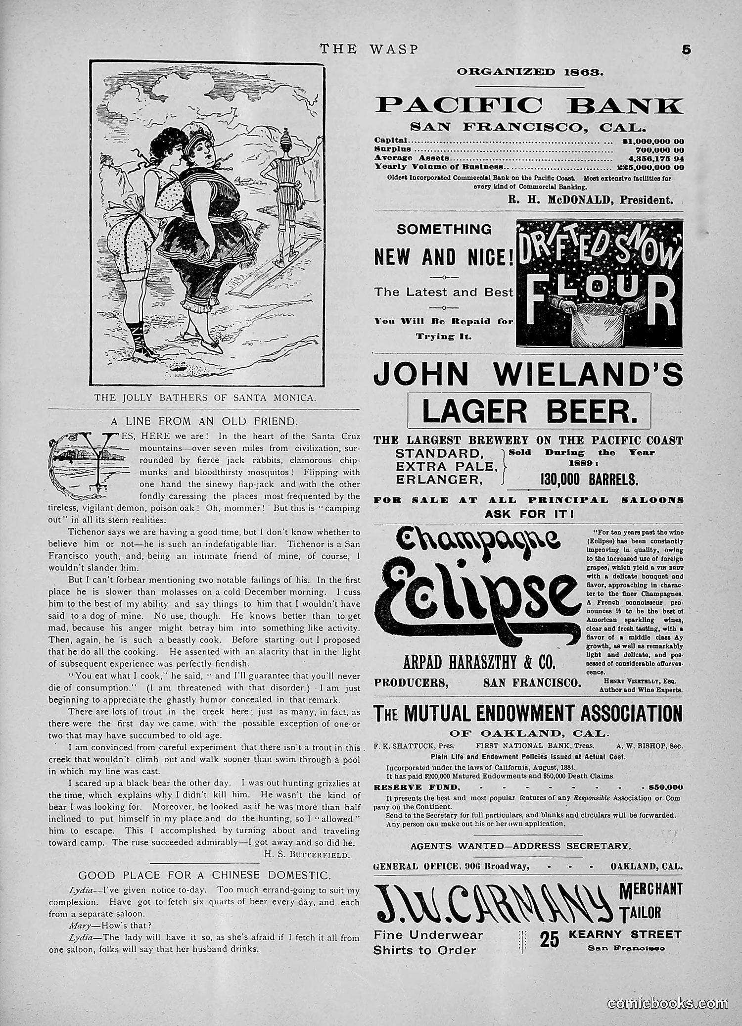 The Wasp — 1891 — page 216 of 546
