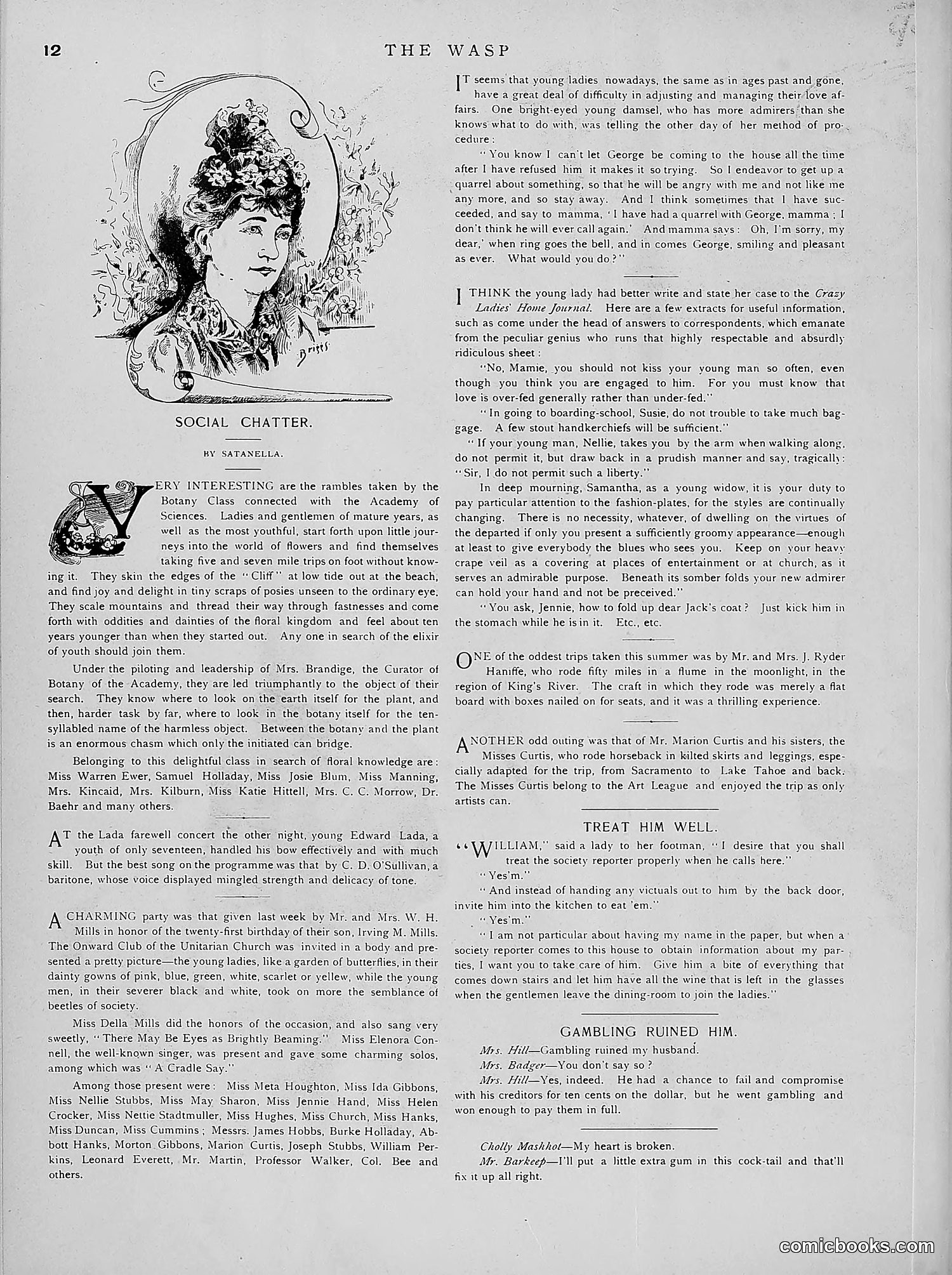 The Wasp — 1891 — page 223 of 546