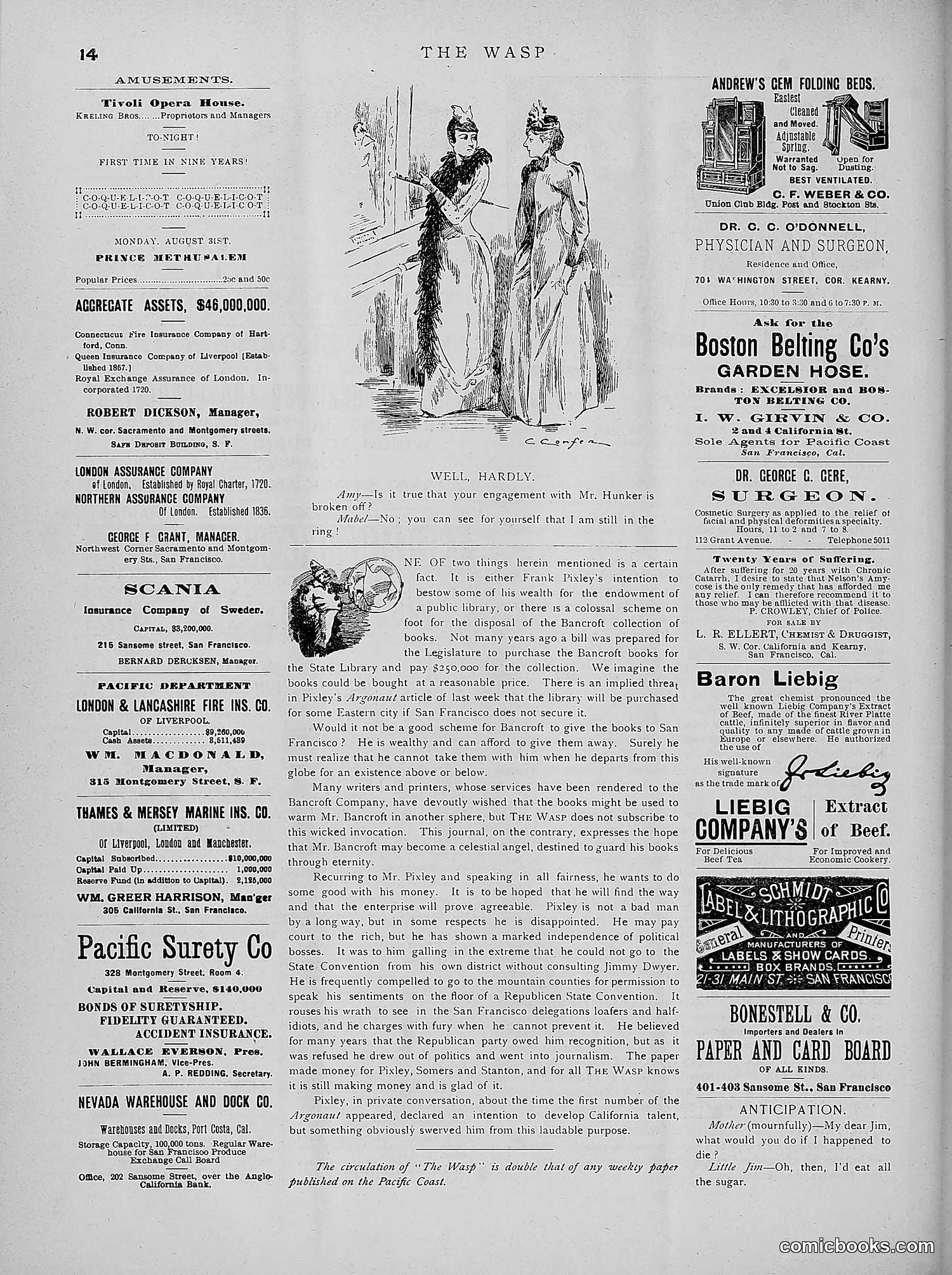 The Wasp — 1891 — page 225 of 546