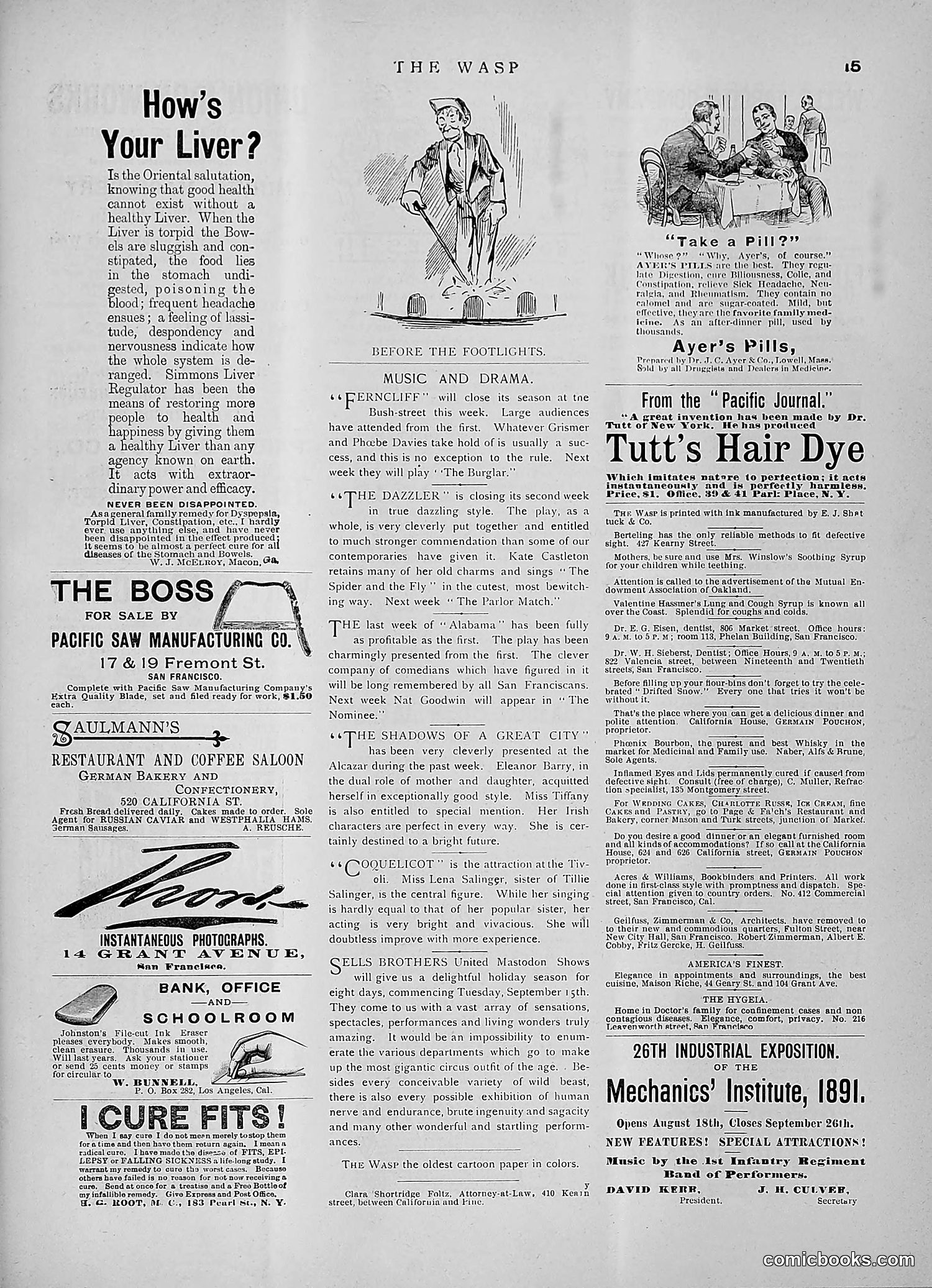 The Wasp — 1891 — page 226 of 546