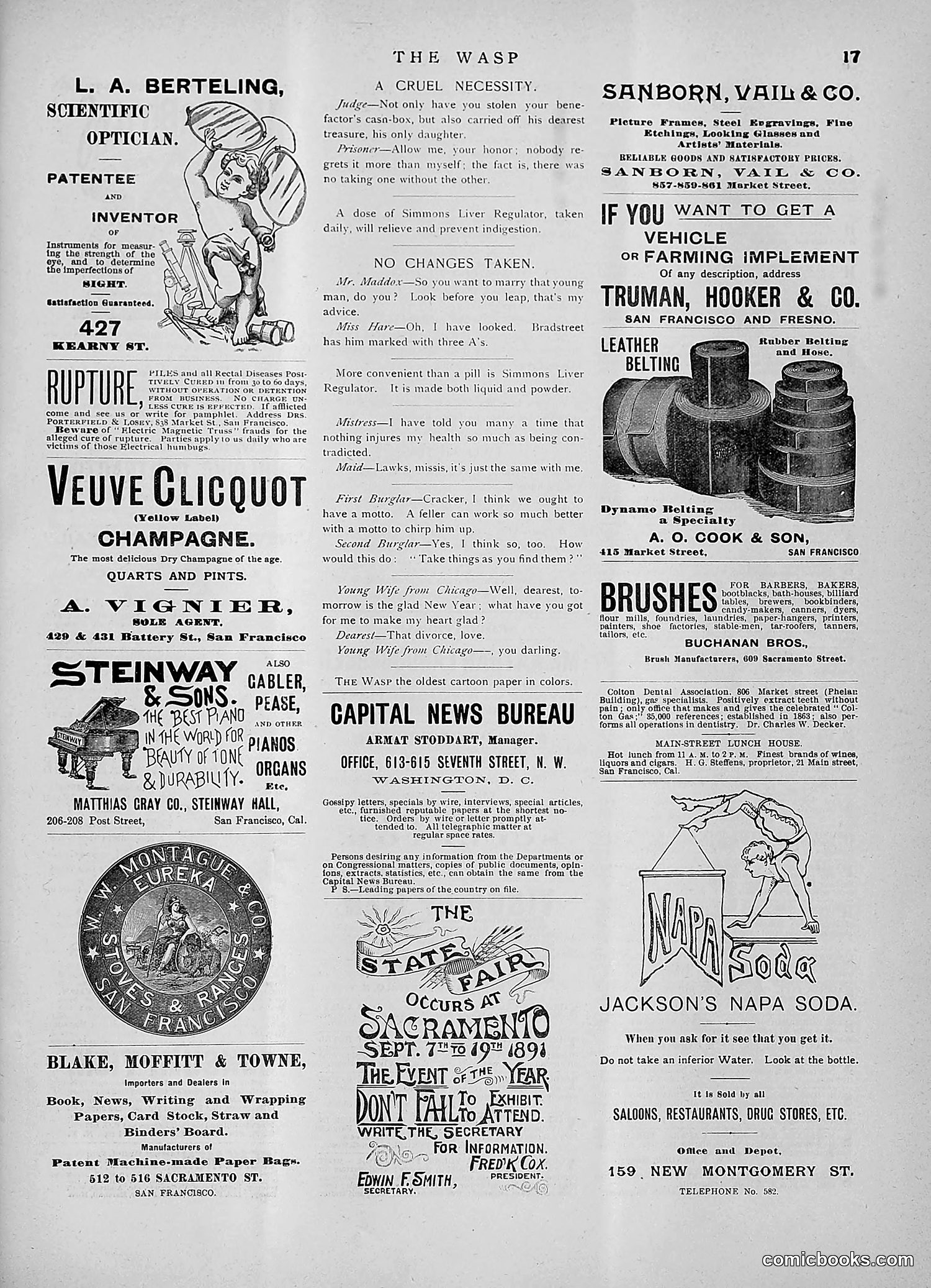 The Wasp — 1891 — page 228 of 546