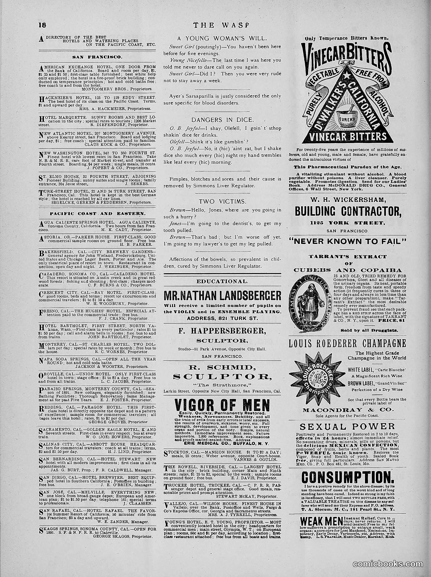 The Wasp — 1891 — page 229 of 546