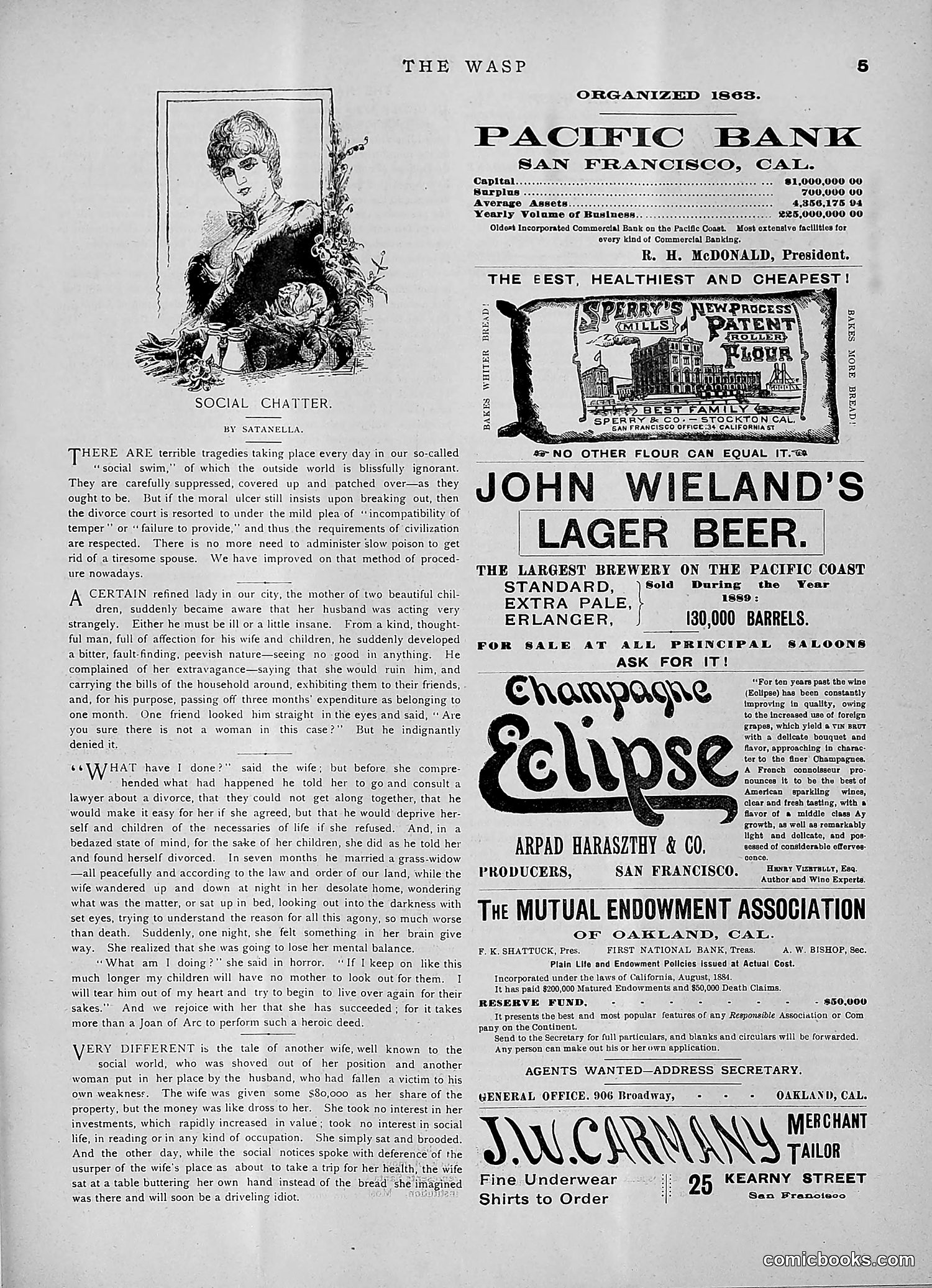 The Wasp — 1891 — page 236 of 546