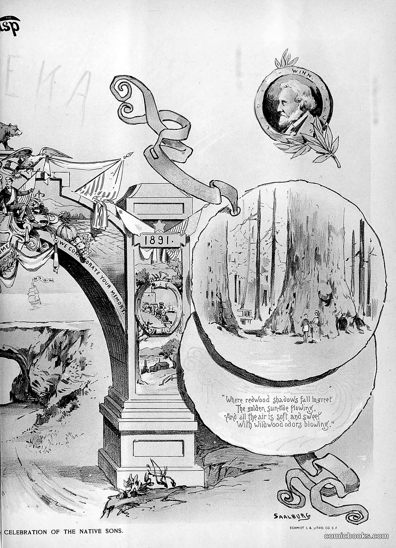 The Wasp — 1891 — page 242 of 546