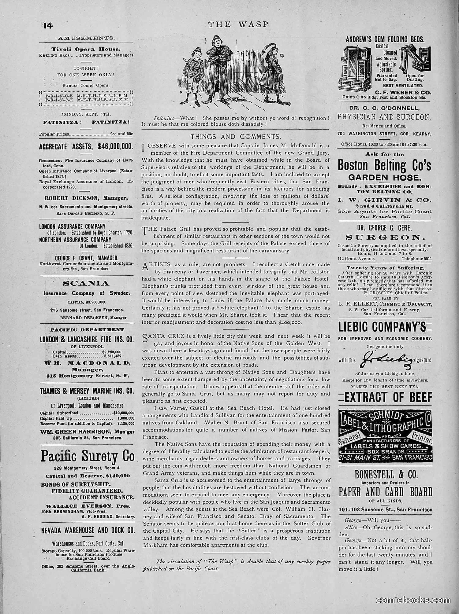The Wasp — 1891 — page 245 of 546