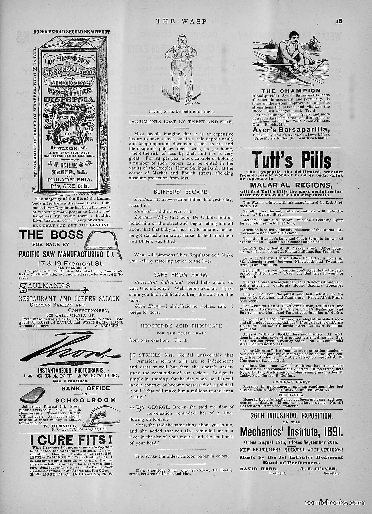 The Wasp — 1891 — page 246 of 546