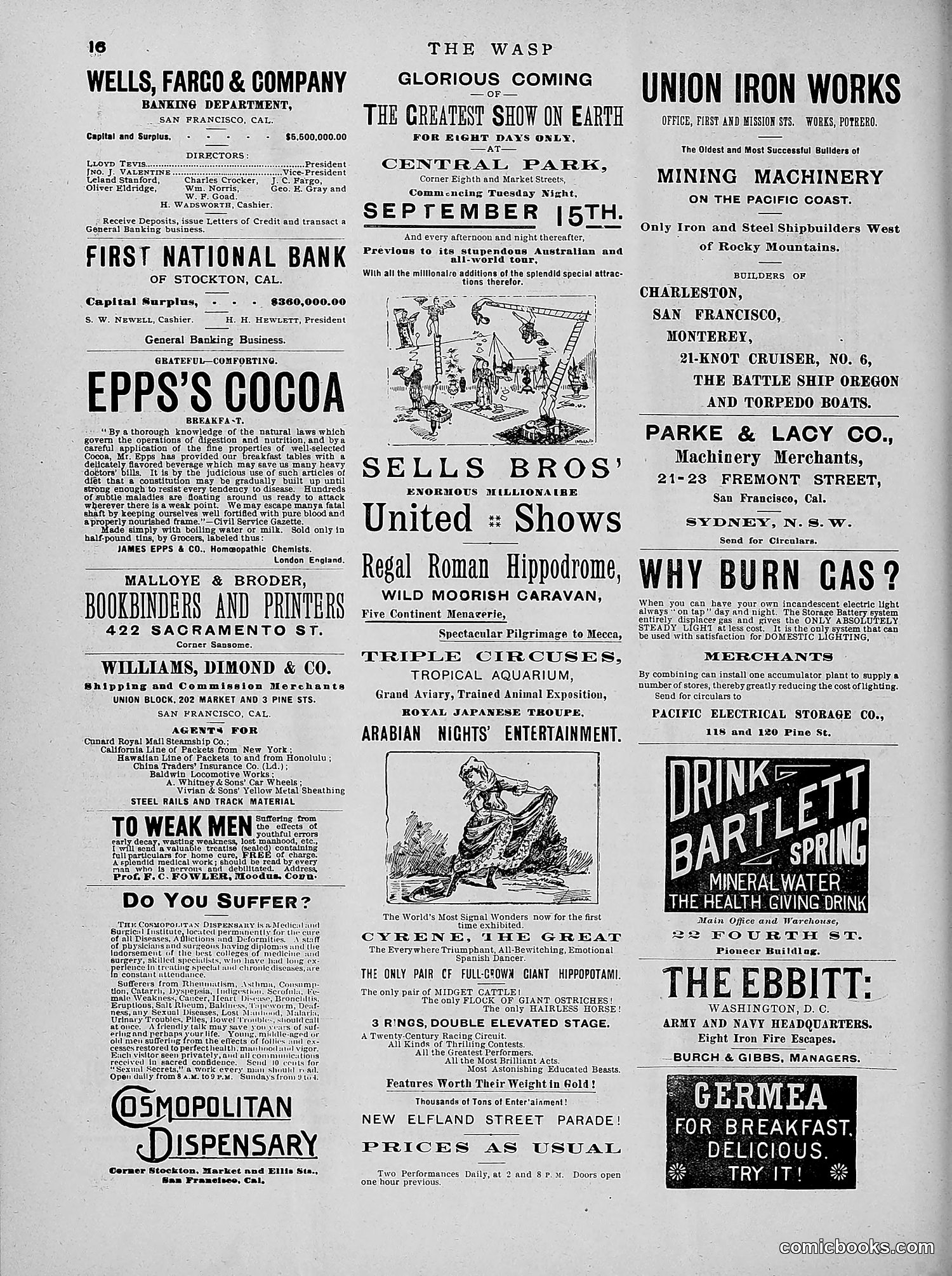 The Wasp — 1891 — page 247 of 546
