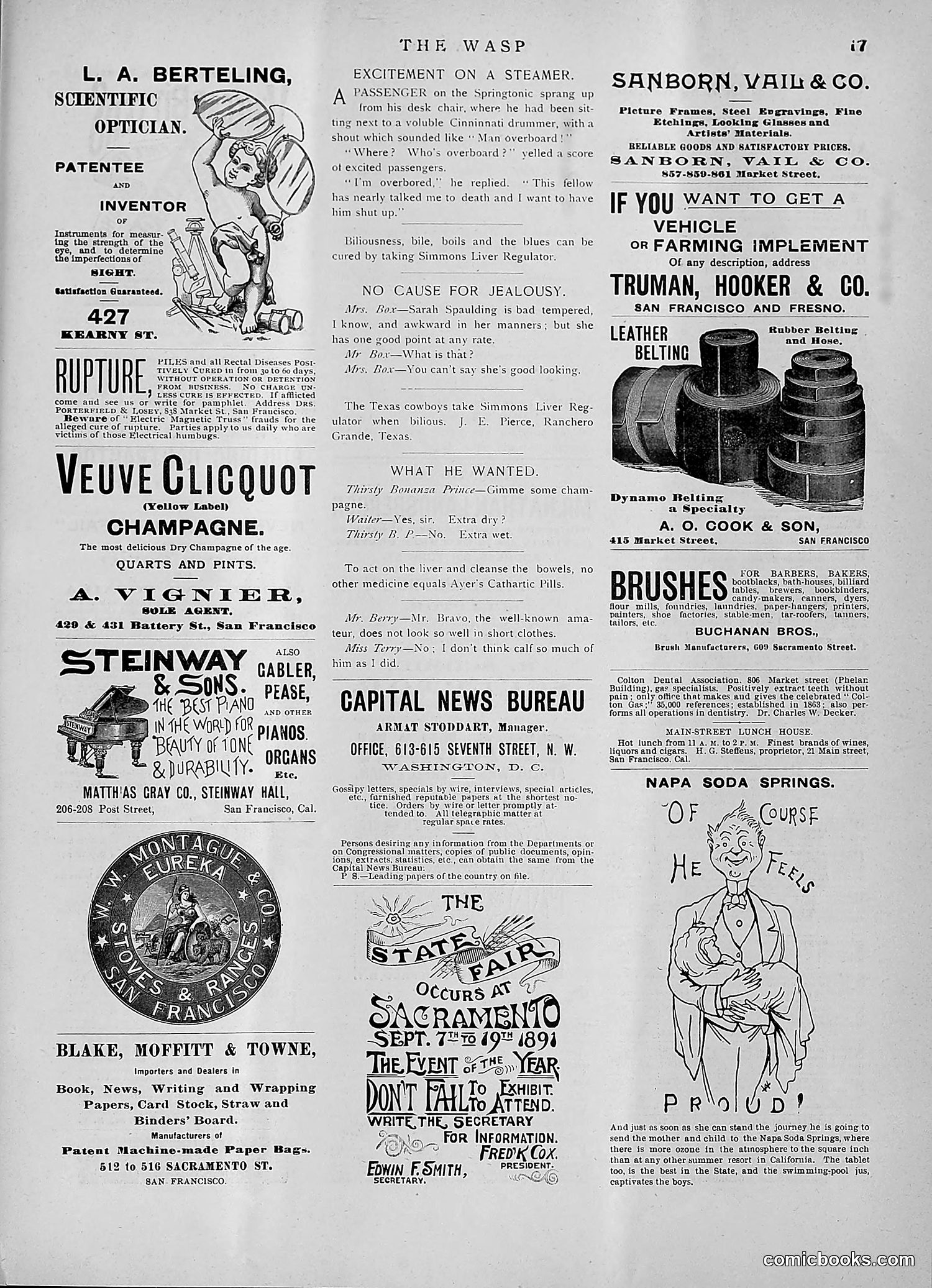 The Wasp — 1891 — page 248 of 546