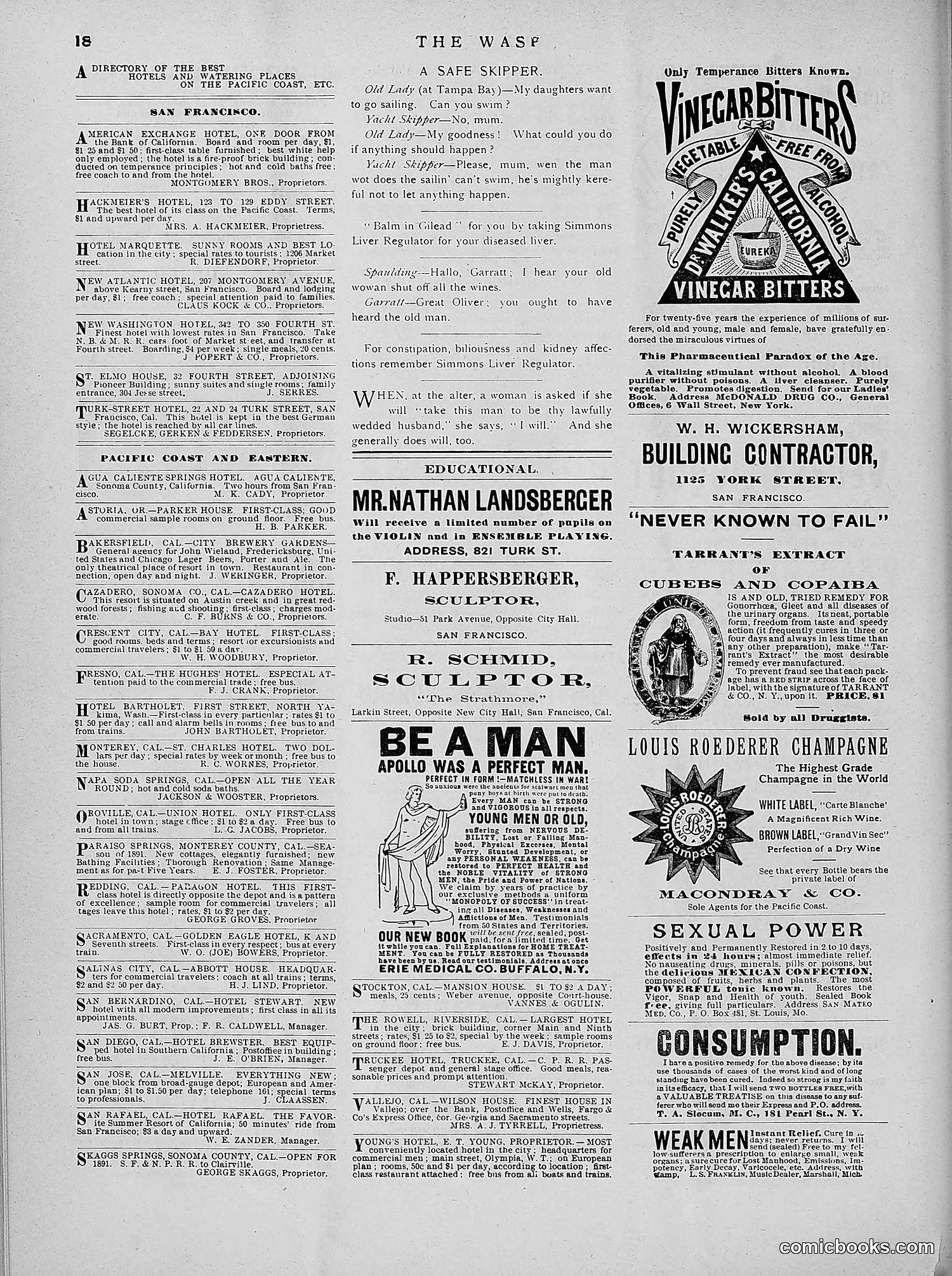 The Wasp — 1891 — page 249 of 546