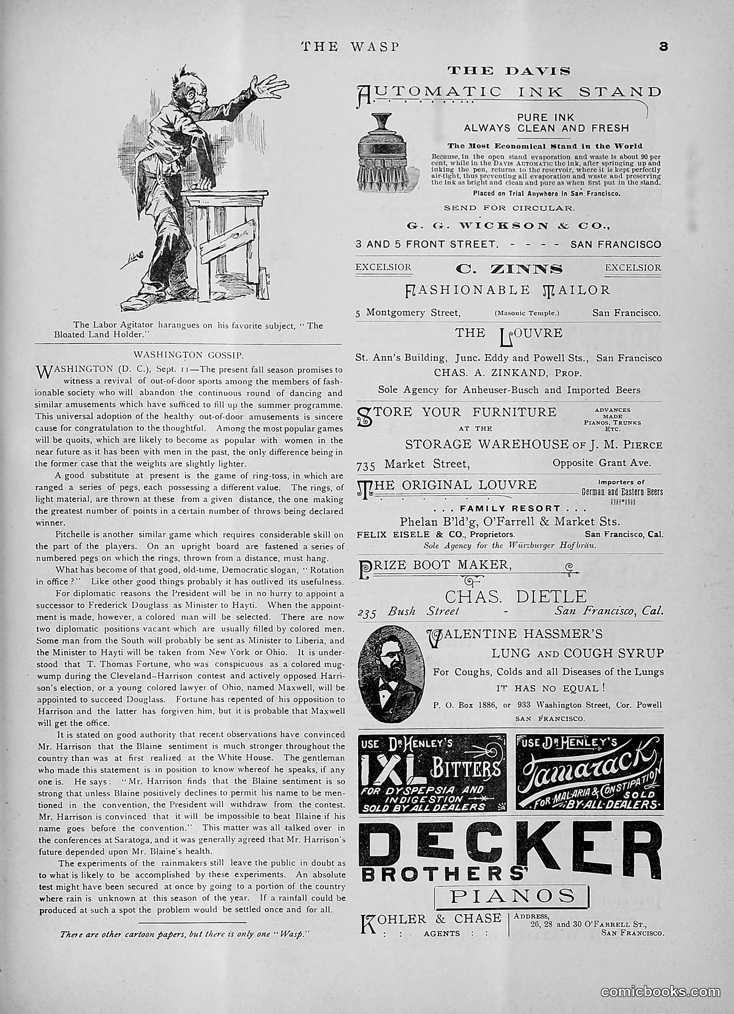 The Wasp — 1891 — page 254 of 546
