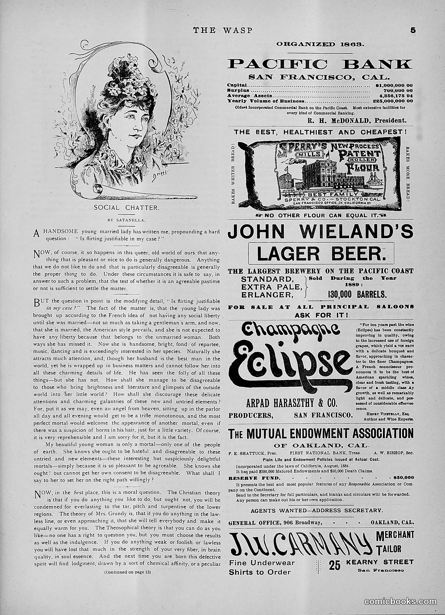 The Wasp — 1891 — page 256 of 546