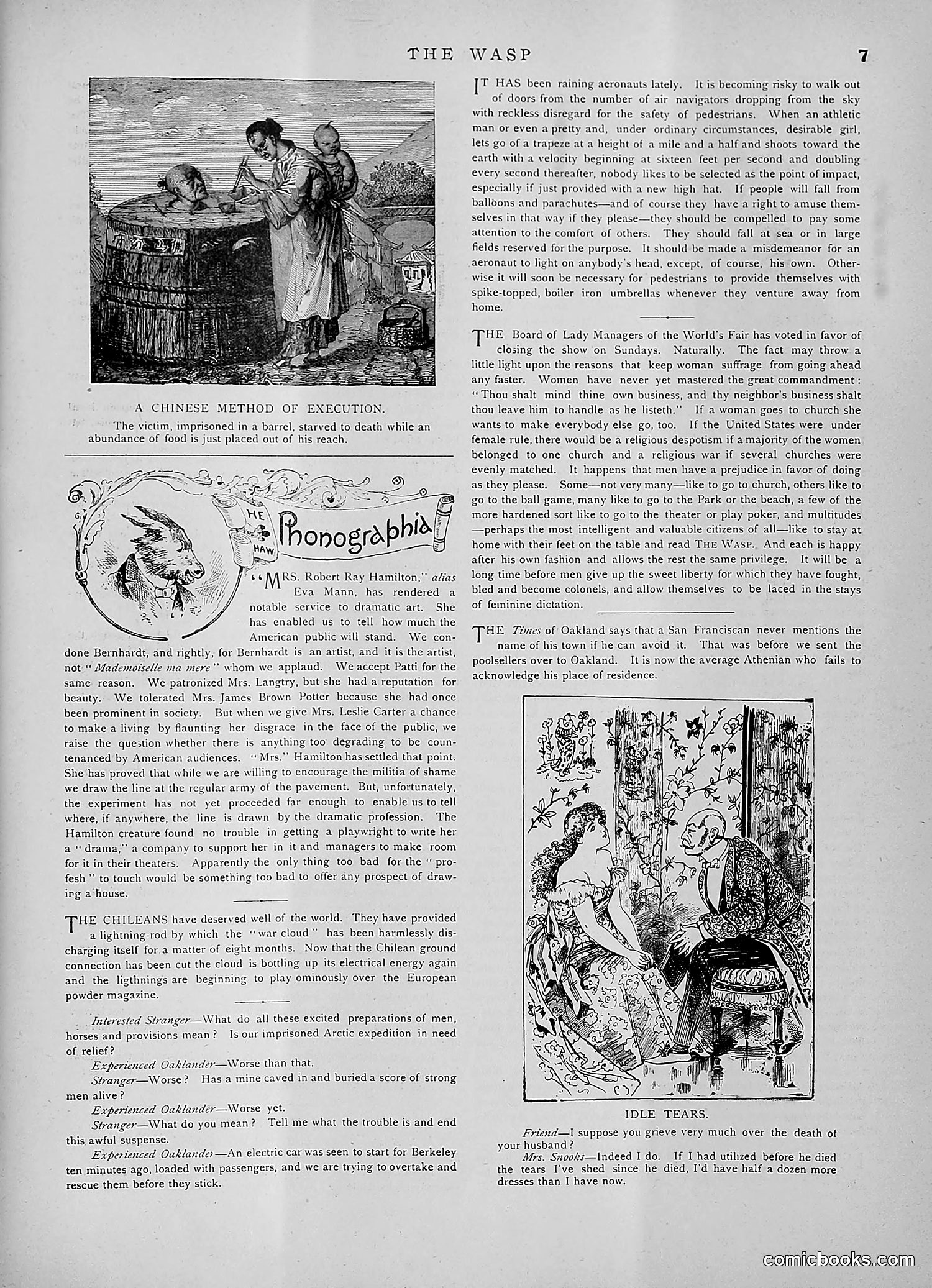 The Wasp — 1891 — page 258 of 546