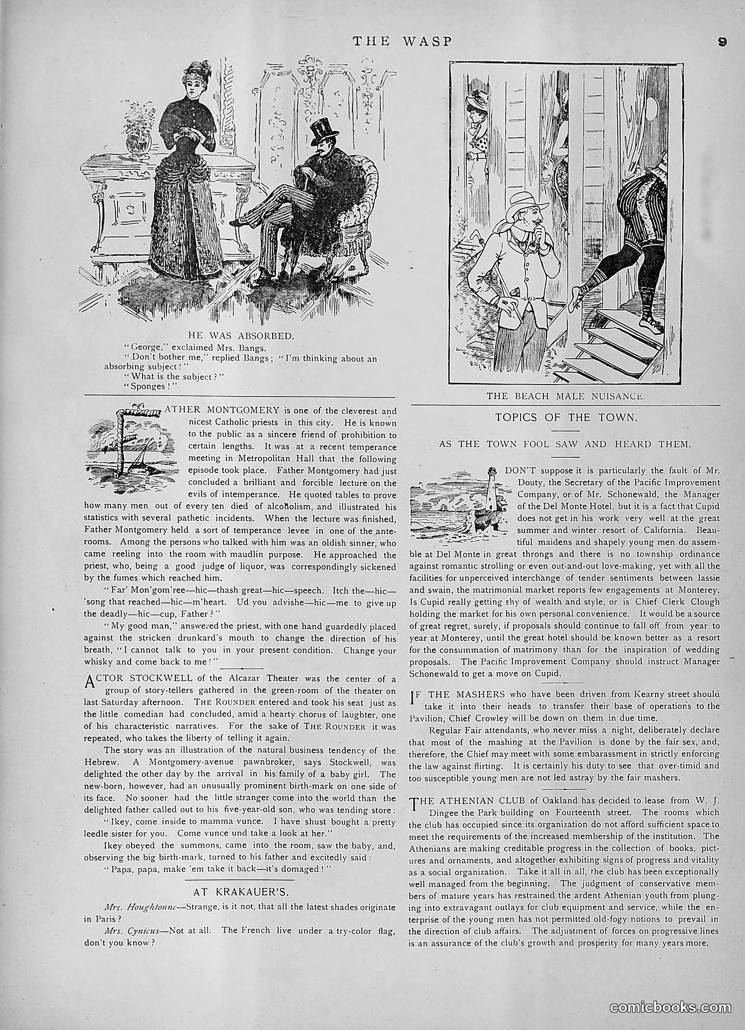 The Wasp — 1891 — page 260 of 546